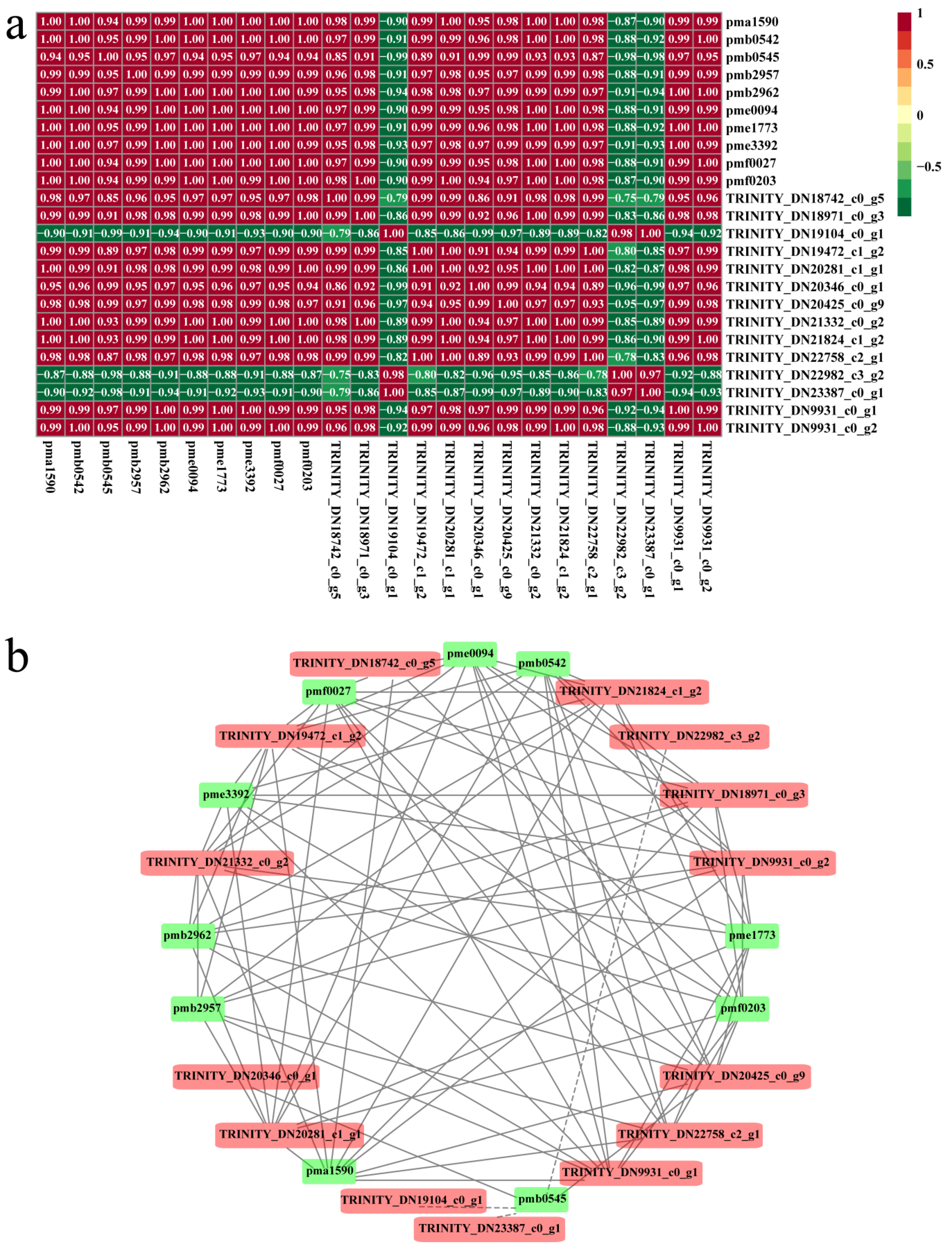 Forests 11 01065 g009