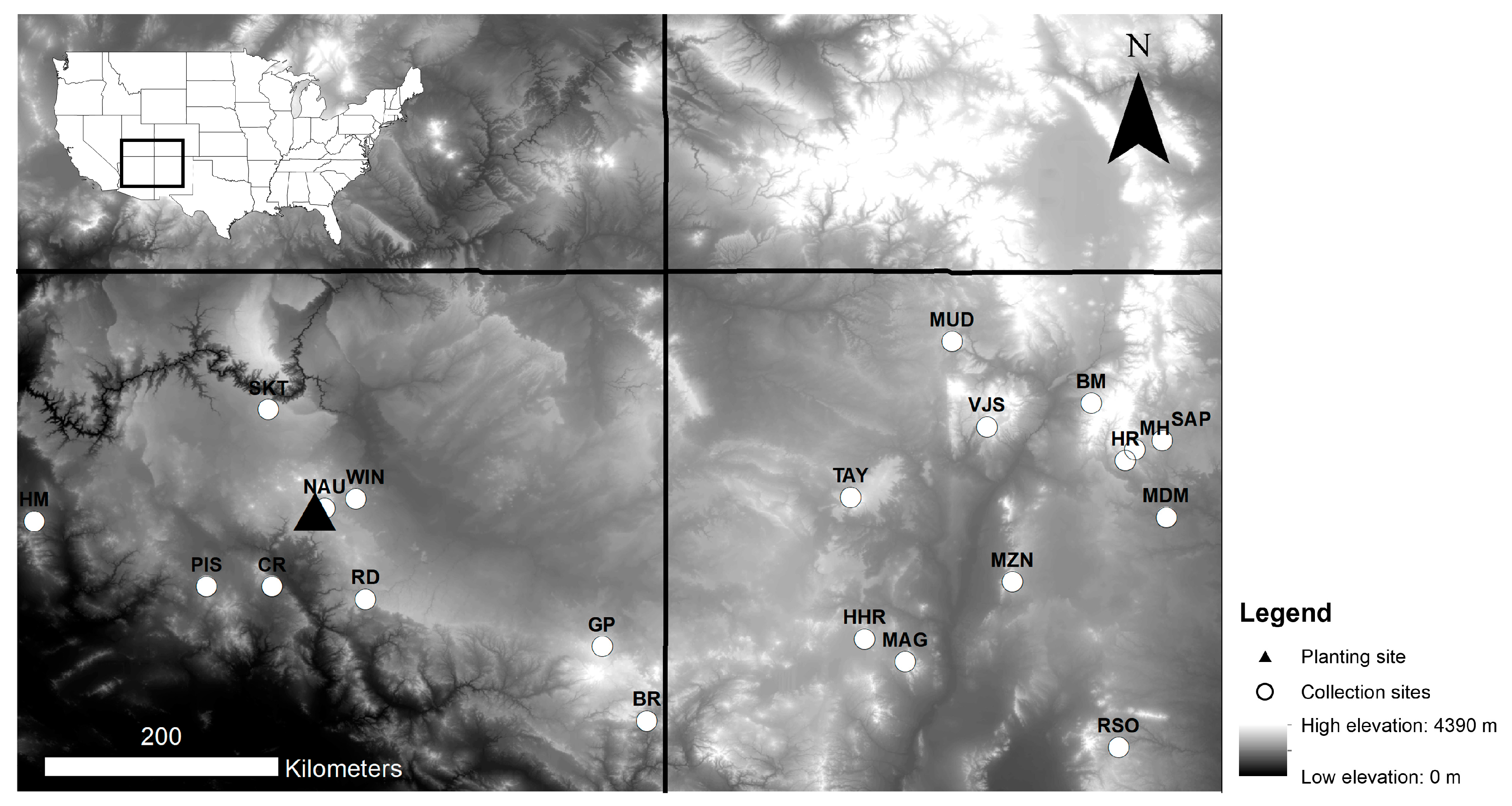 Forests 11 01067 g001