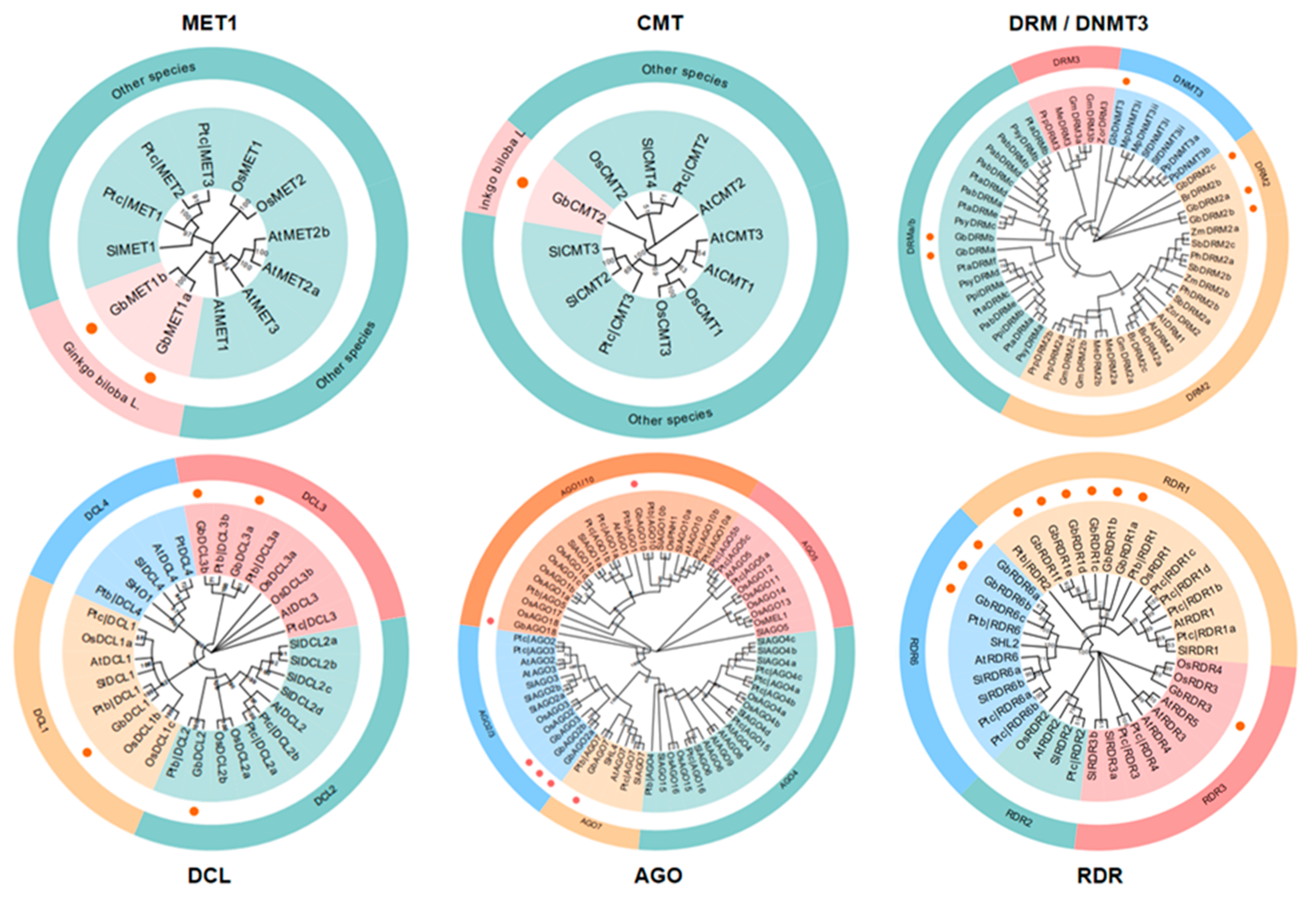 Forests 11 01076 g002
