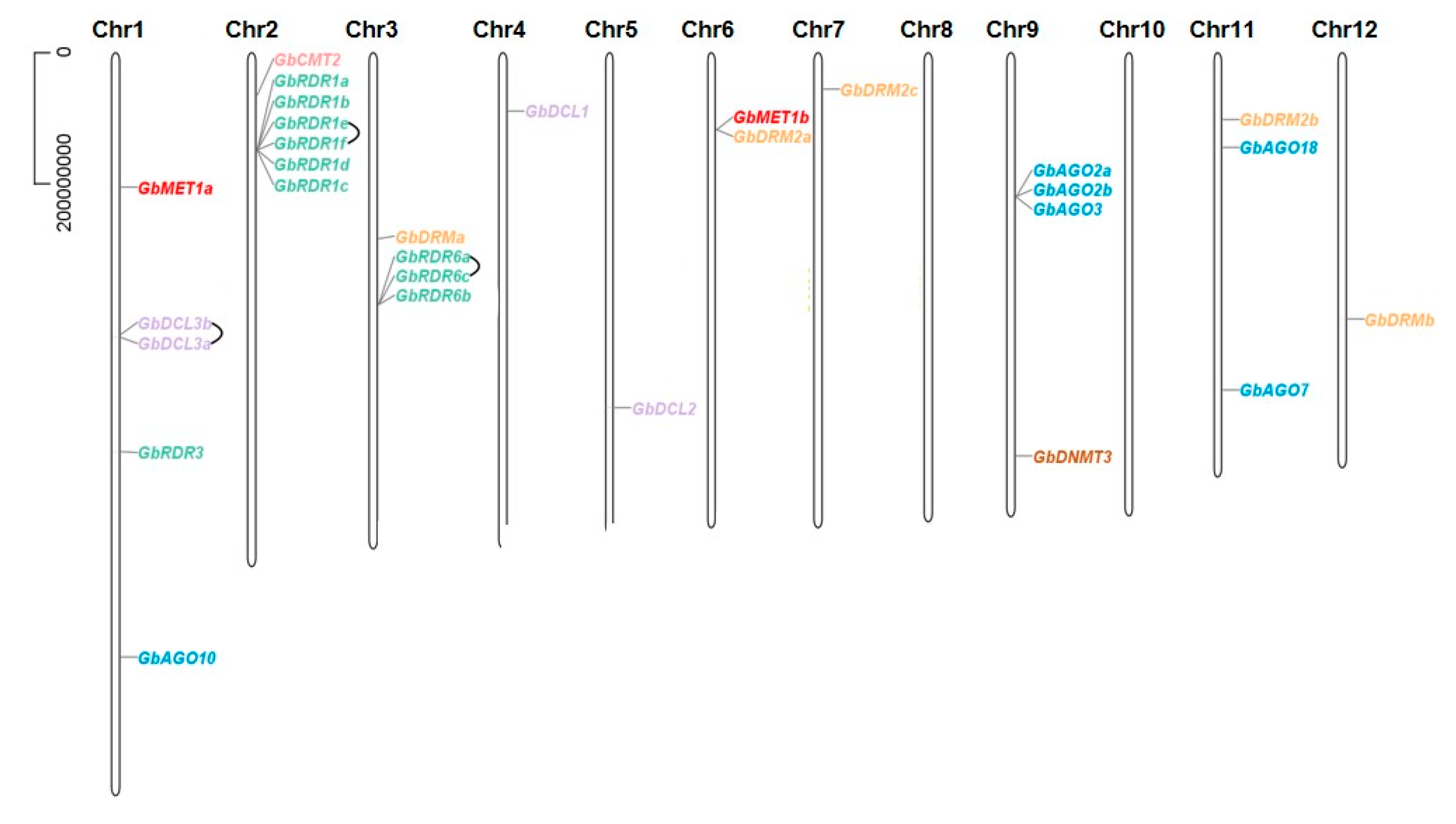 Forests 11 01076 g003