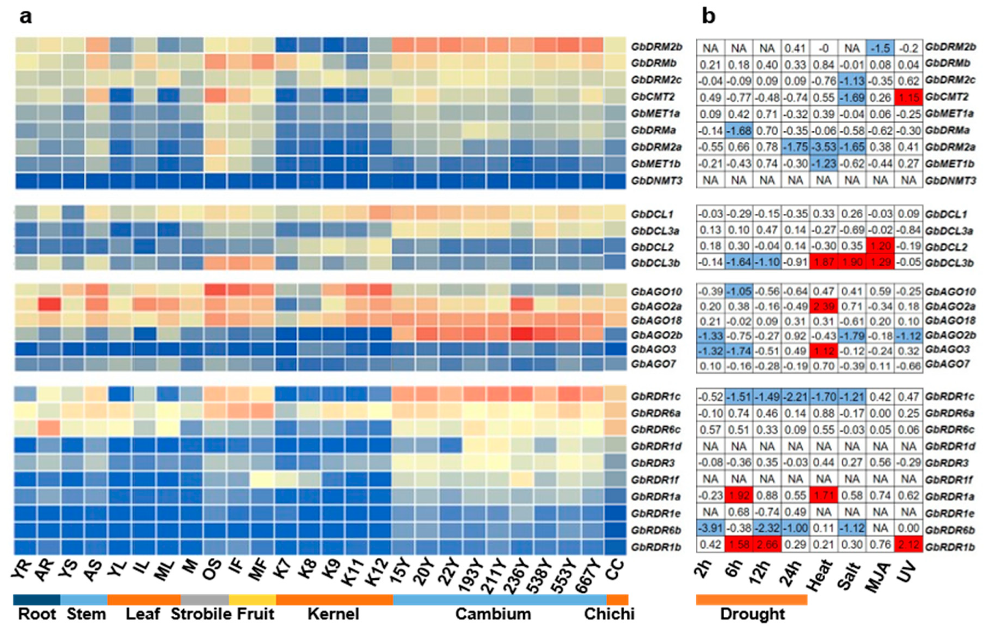 Forests 11 01076 g004