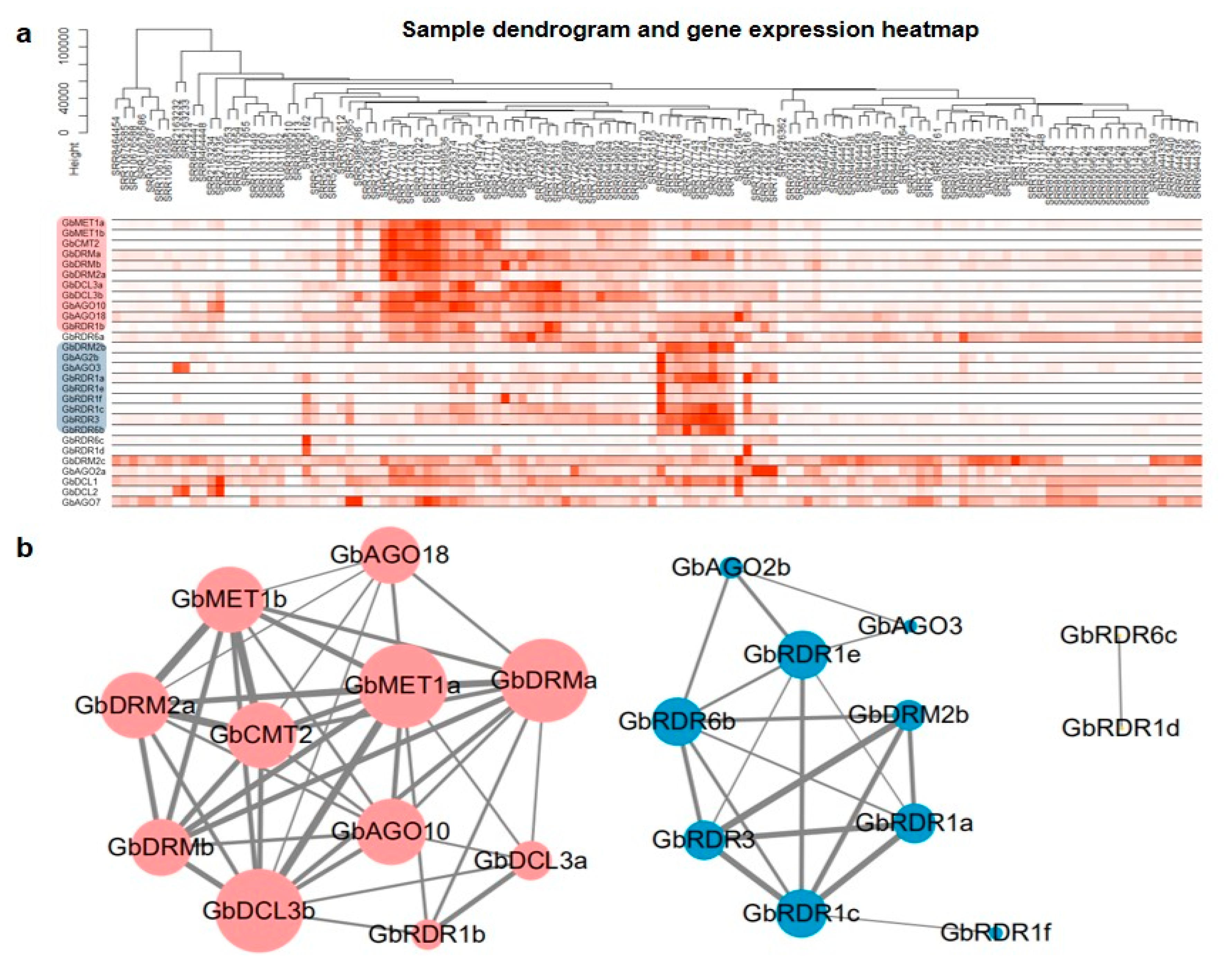 Forests 11 01076 g005