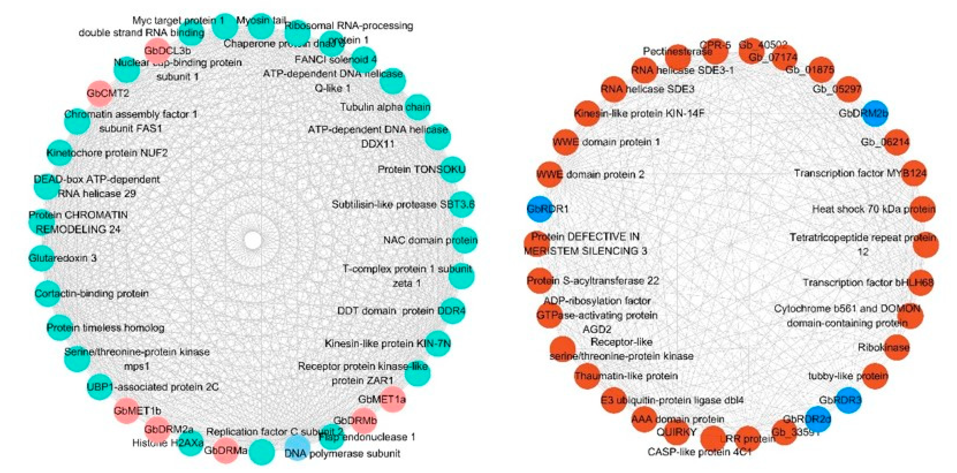 Forests 11 01076 g008