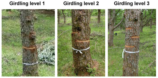 Forests 11 01110 g0a1