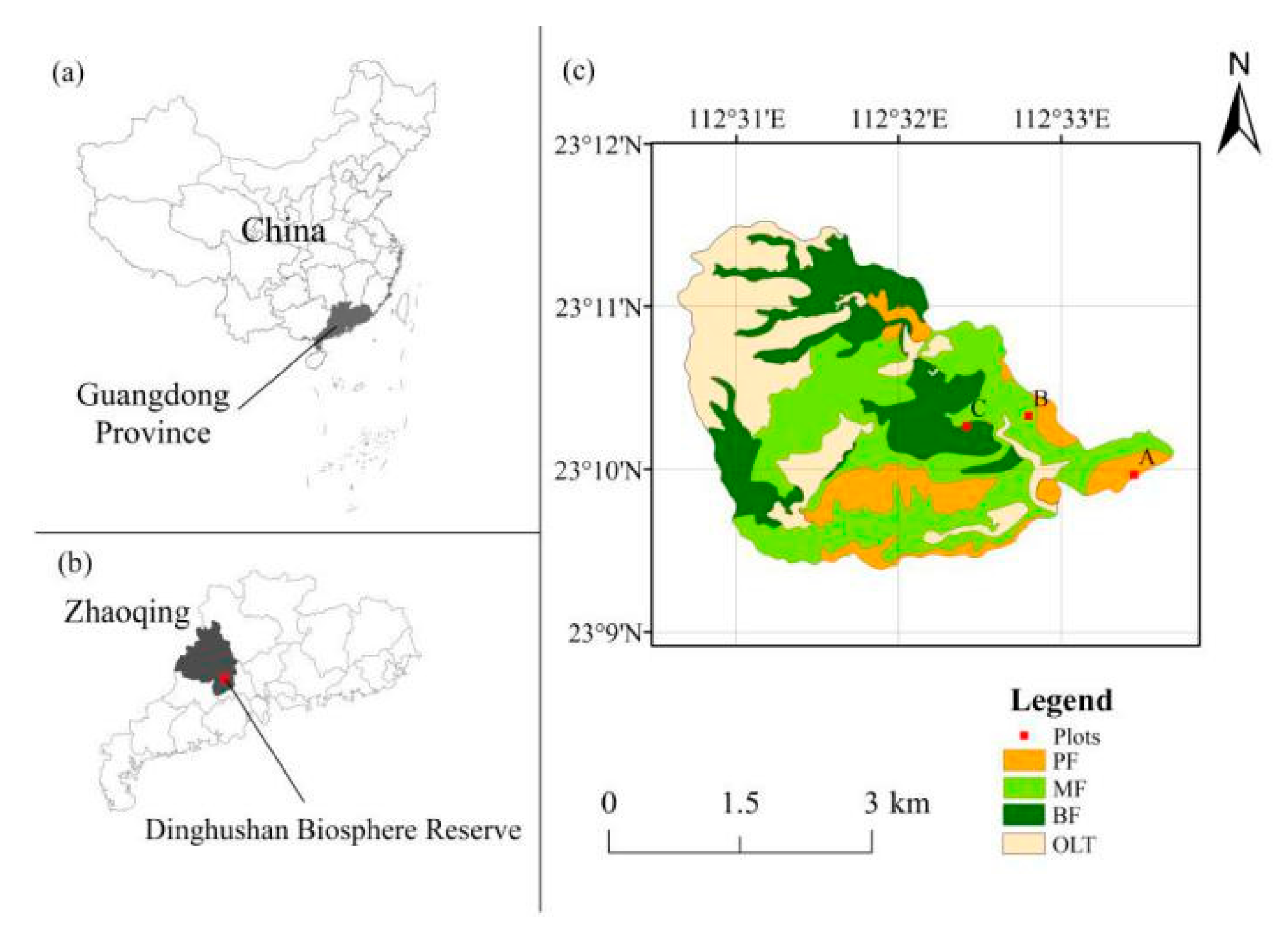 Forests 11 01111 g001 Forests 11 01111 g001