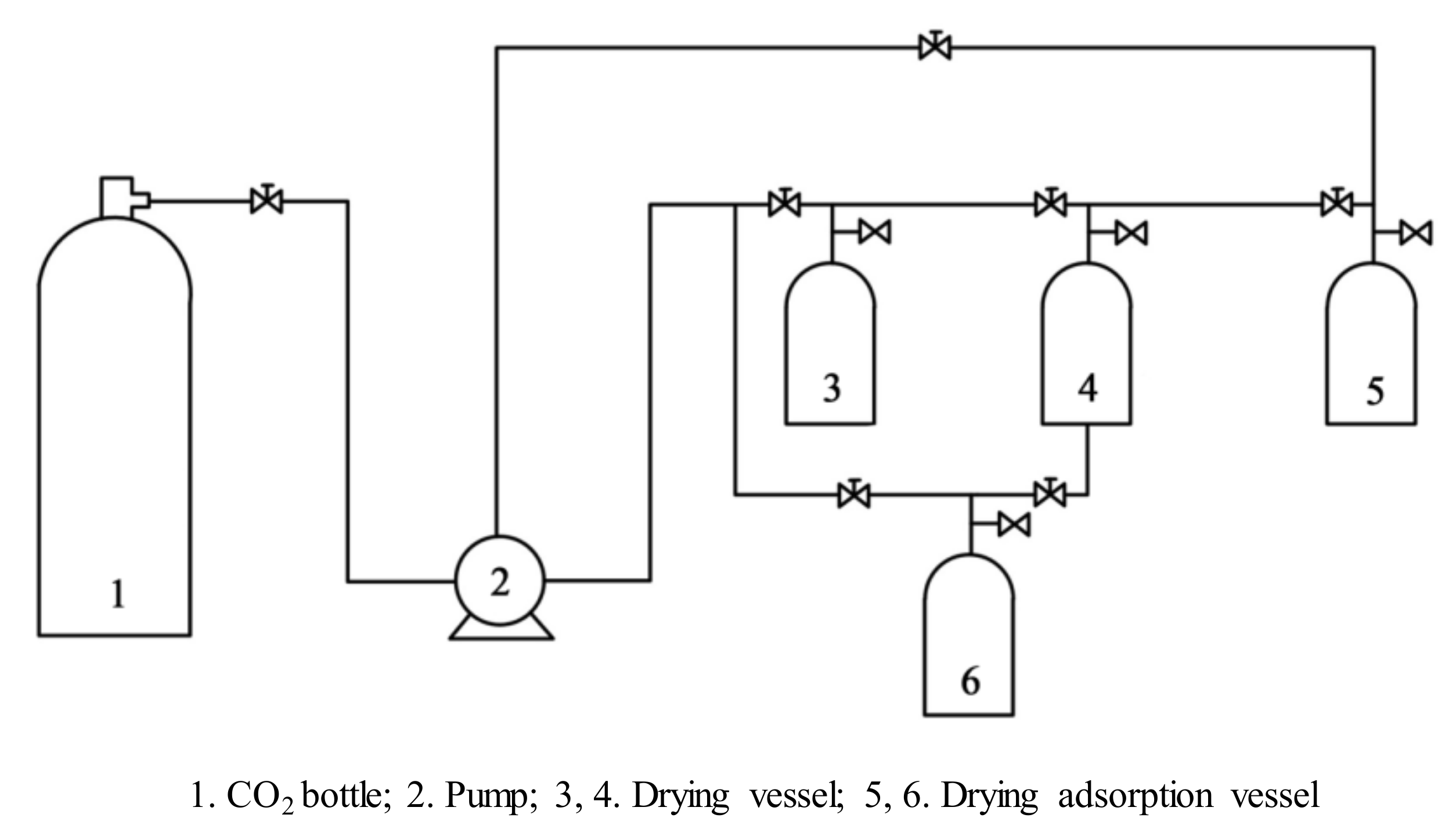 Forests 11 01115 g002