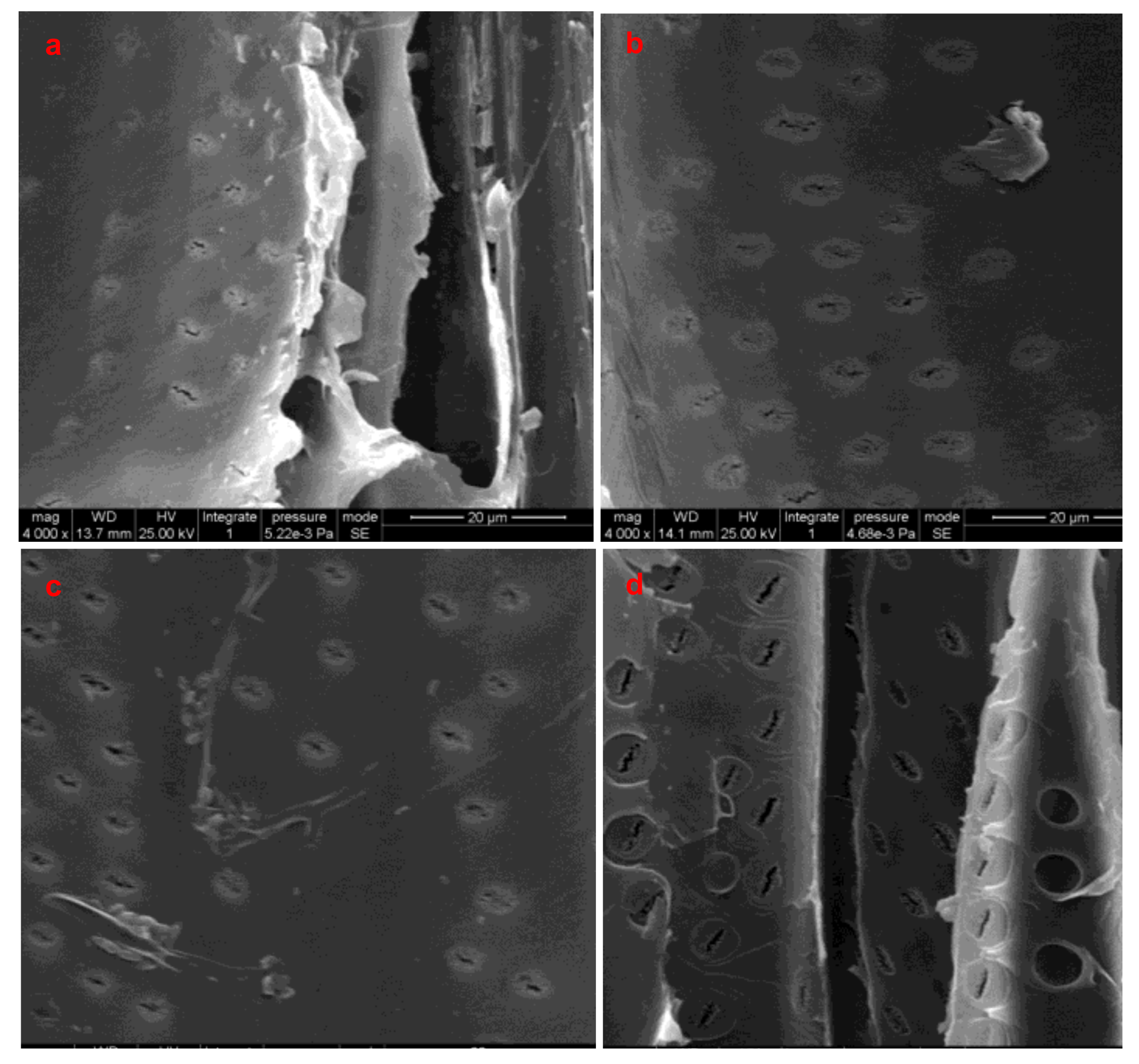 Forests 11 01115 g008