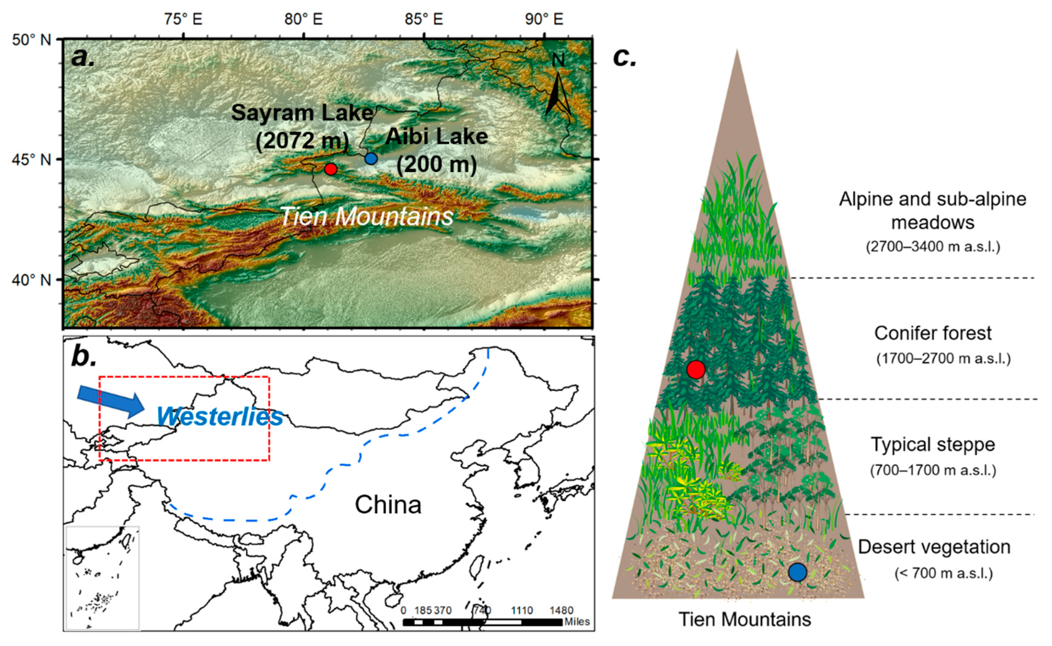 Forests 11 01139 g001