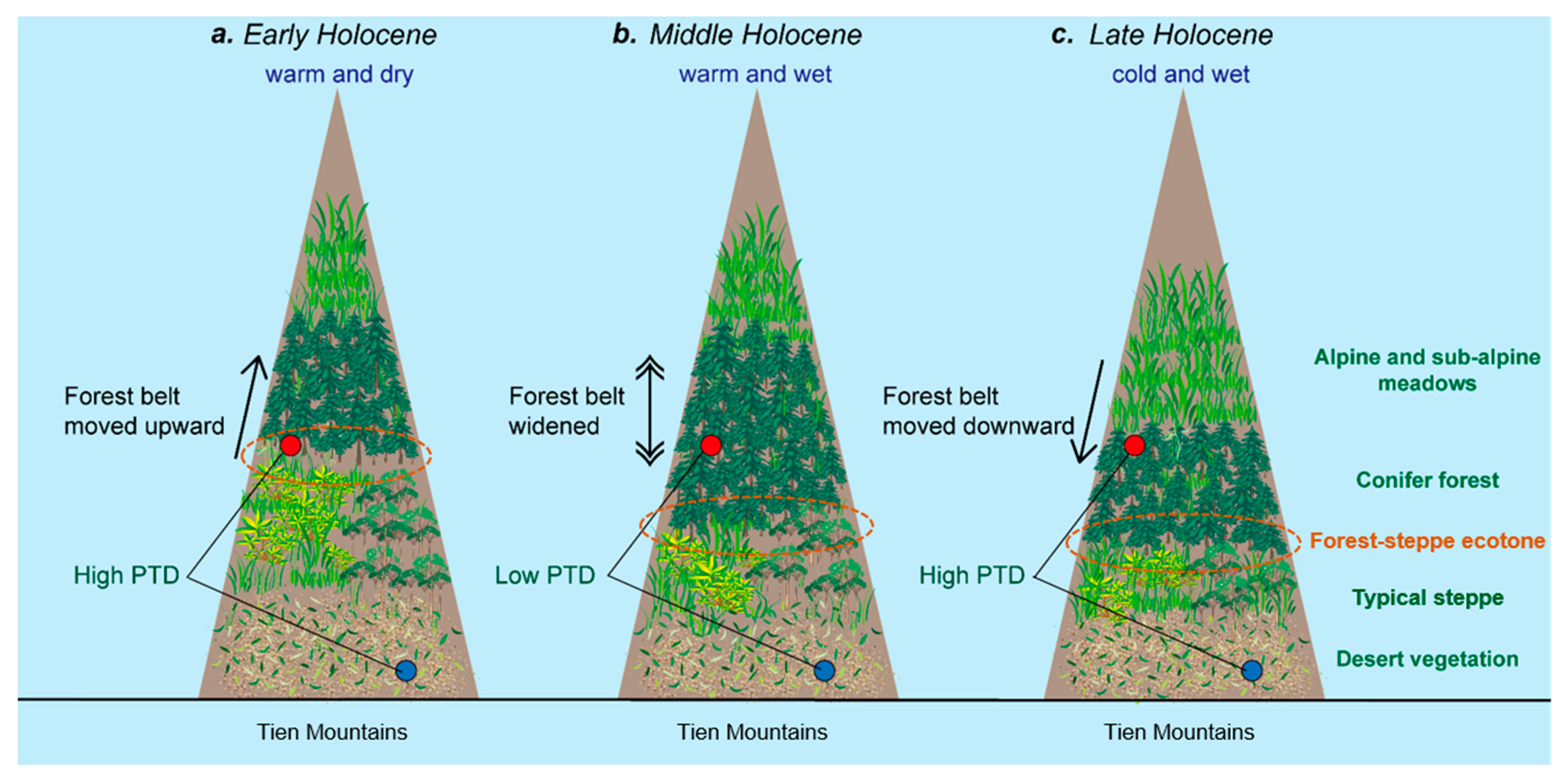 Forests 11 01139 g006