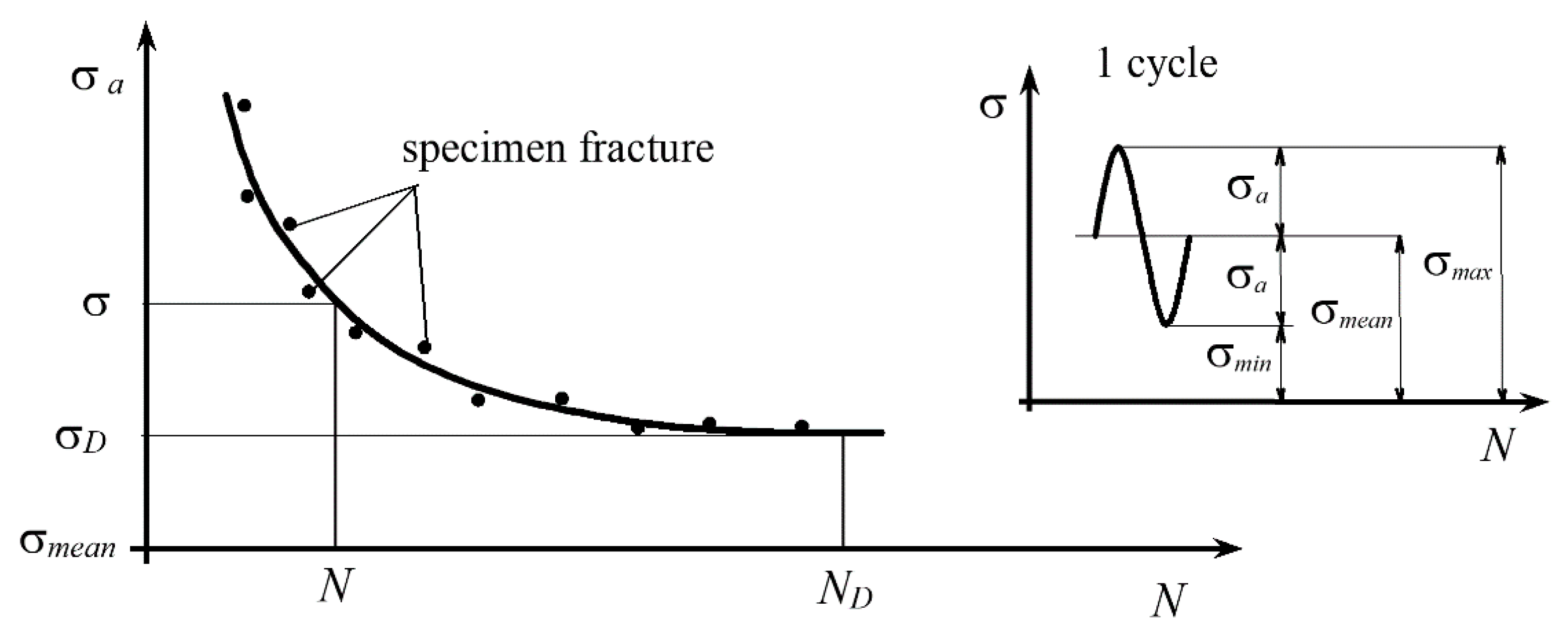 Forests 11 01187 g001