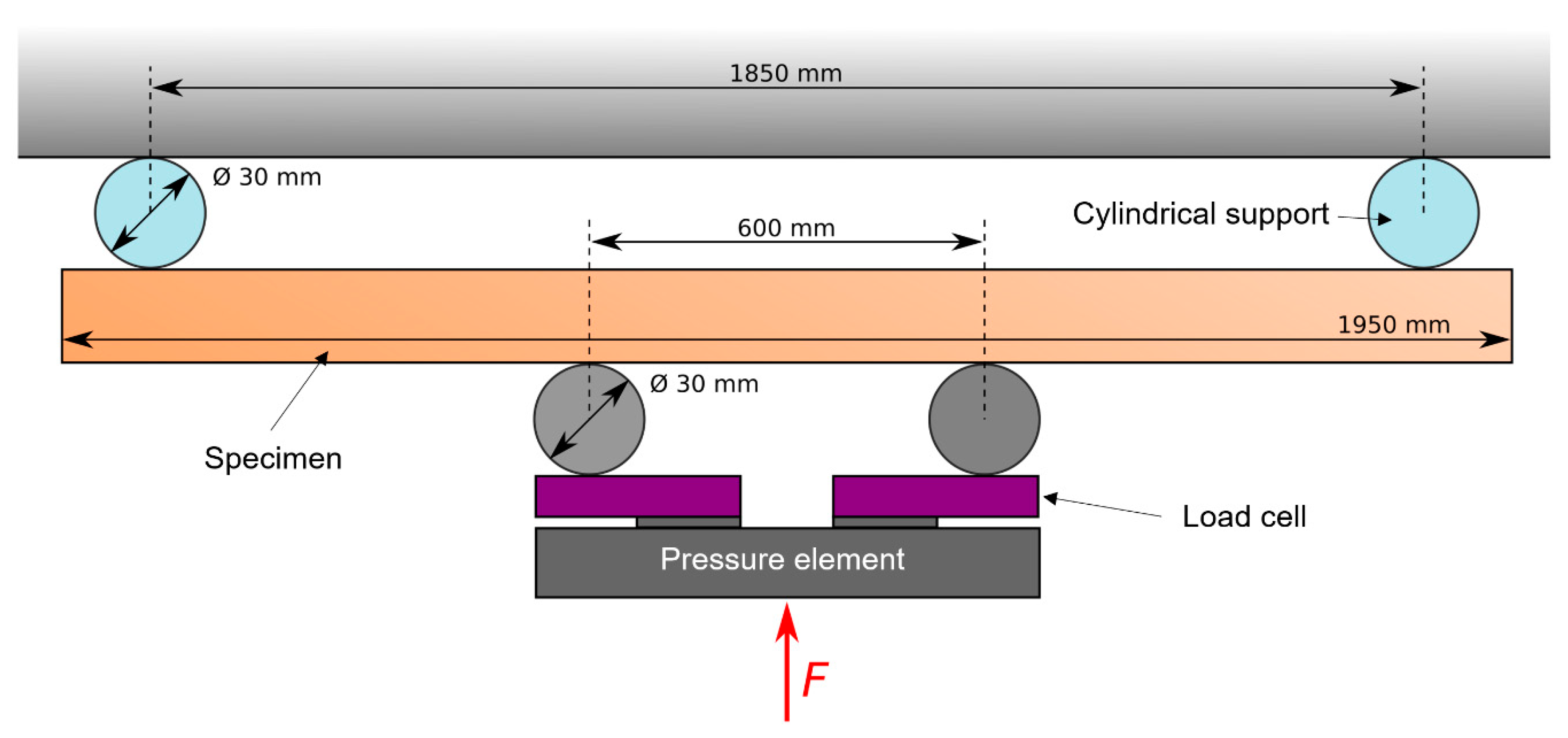 Forests 11 01187 g013