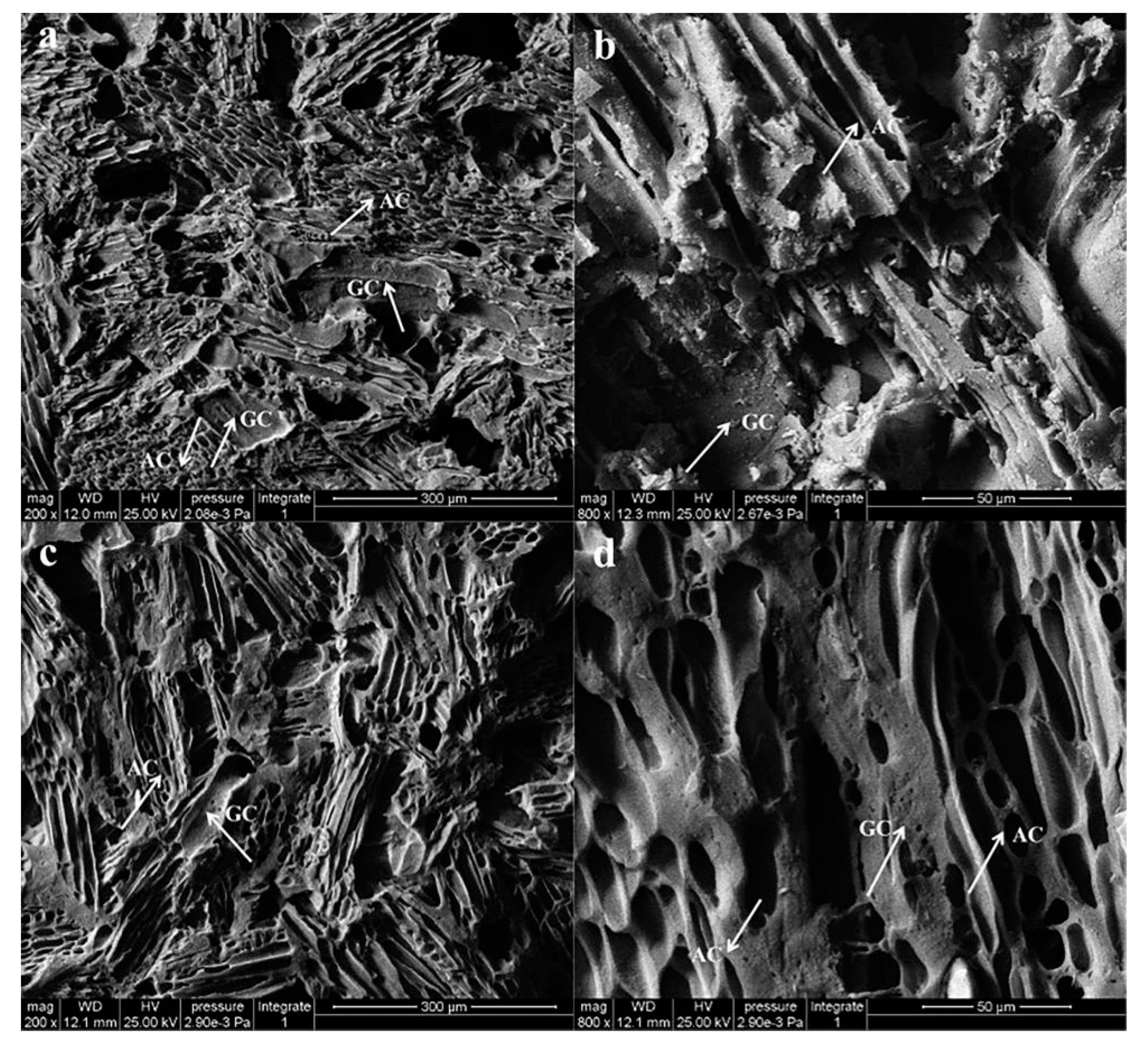 Forests 11 01204 g005