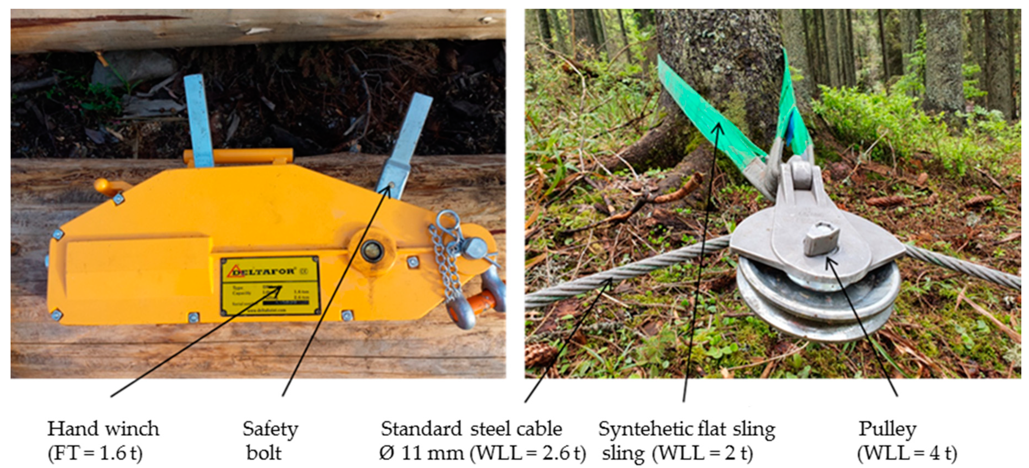 Forests 11 01225 g003