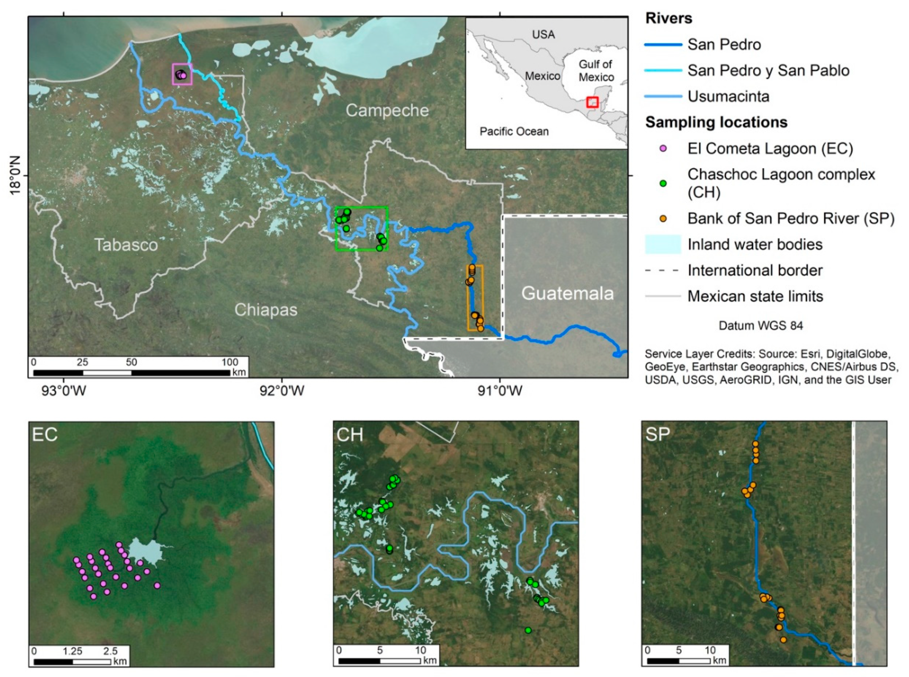 Forests 11 01238 g001