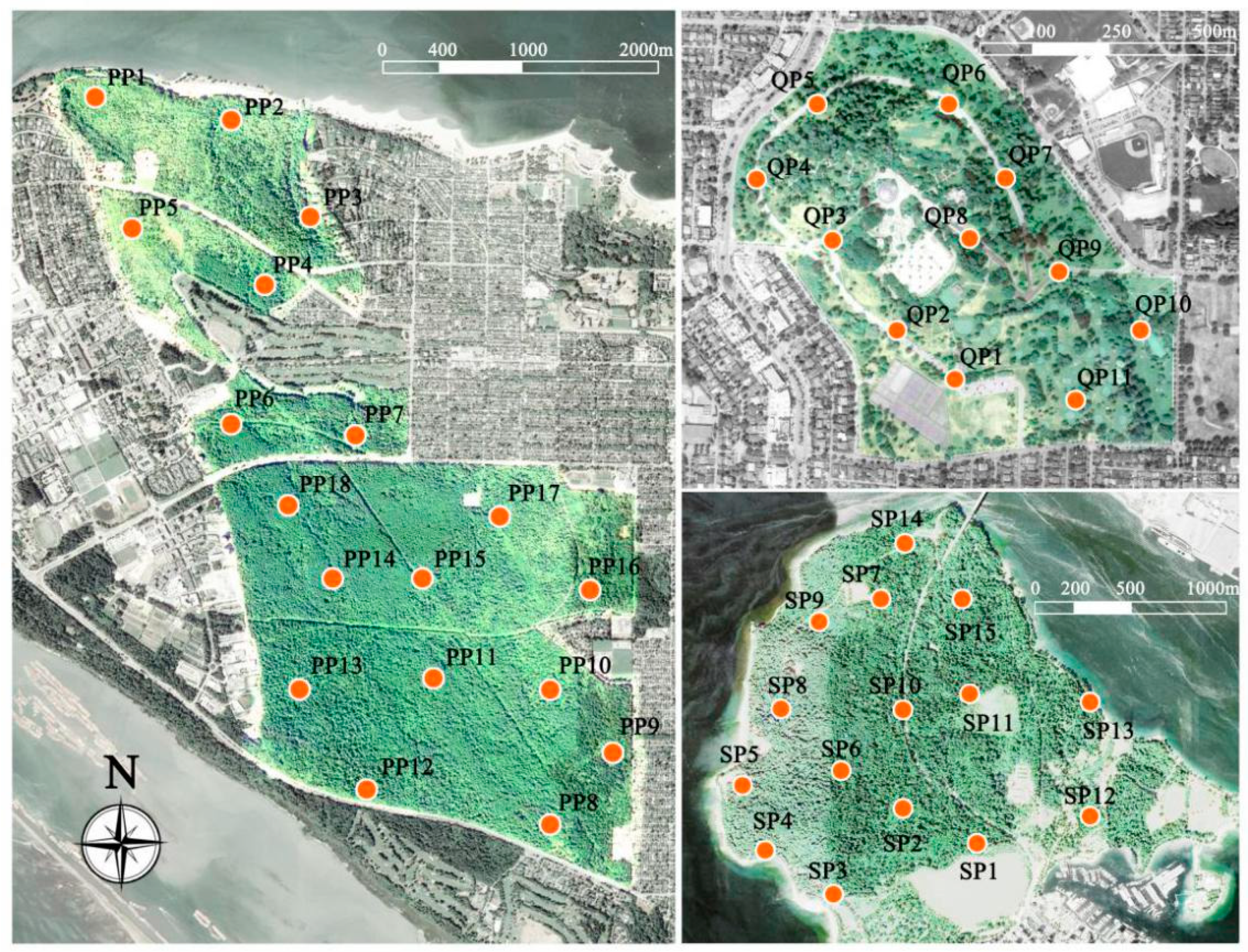 Forests 11 01242 g001