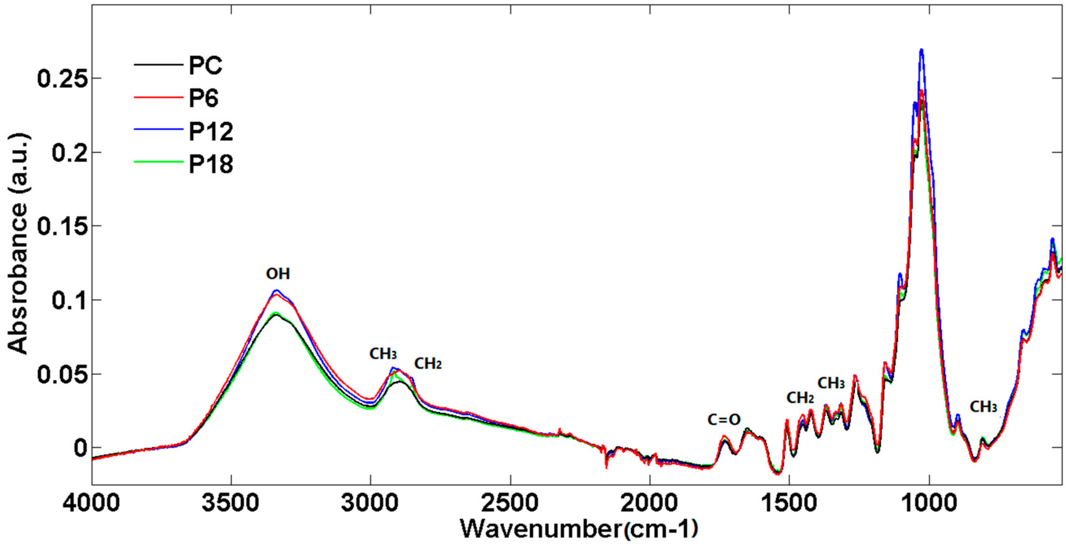 Forests 11 01243 g001