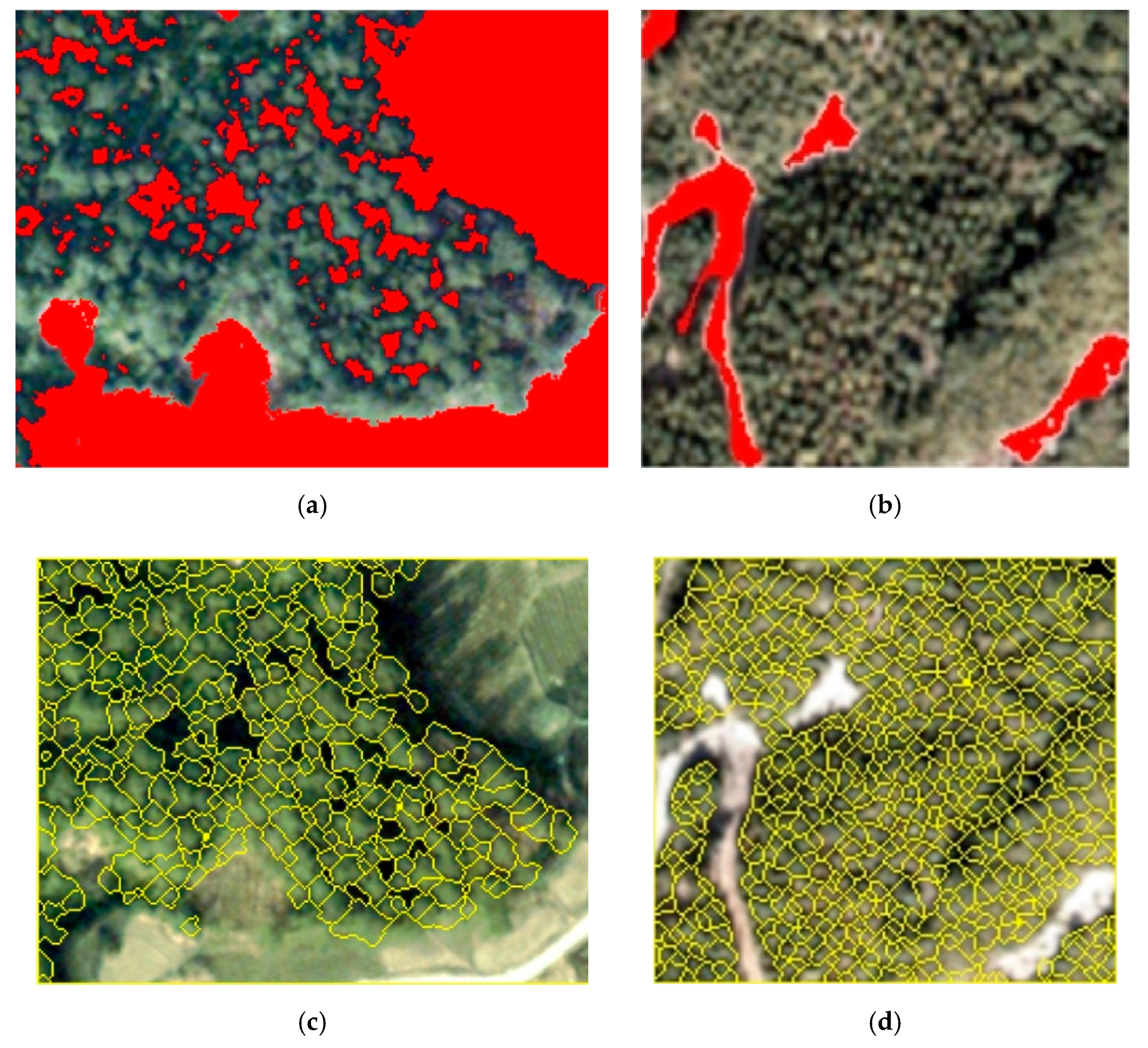 Forests 11 01252 g004