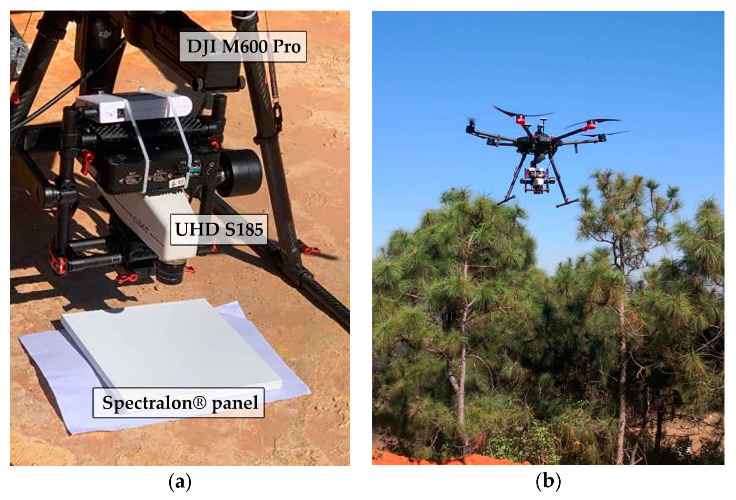 Forests 11 01258 g002