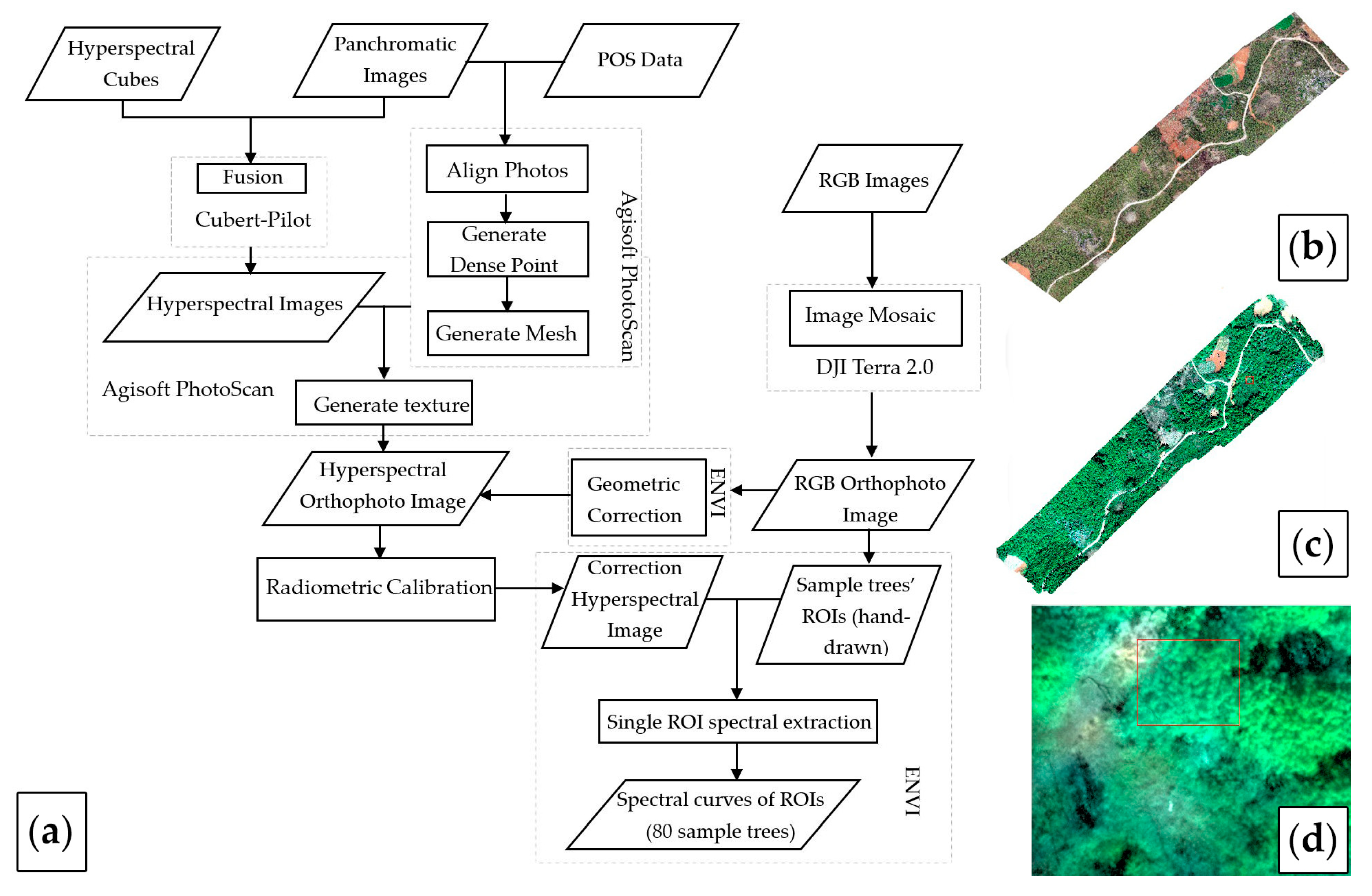 Forests 11 01258 g003