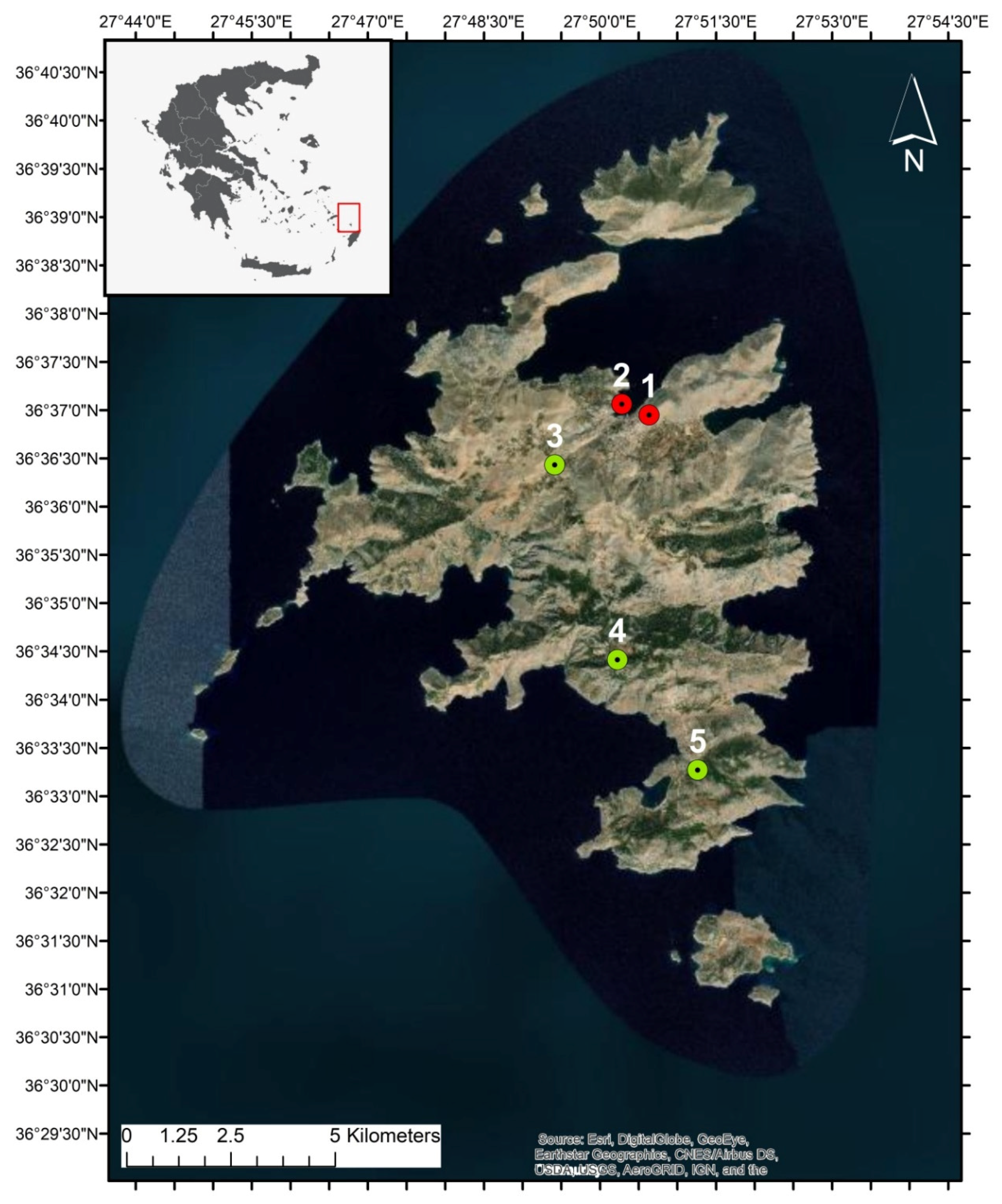 Forests 11 01266 g001