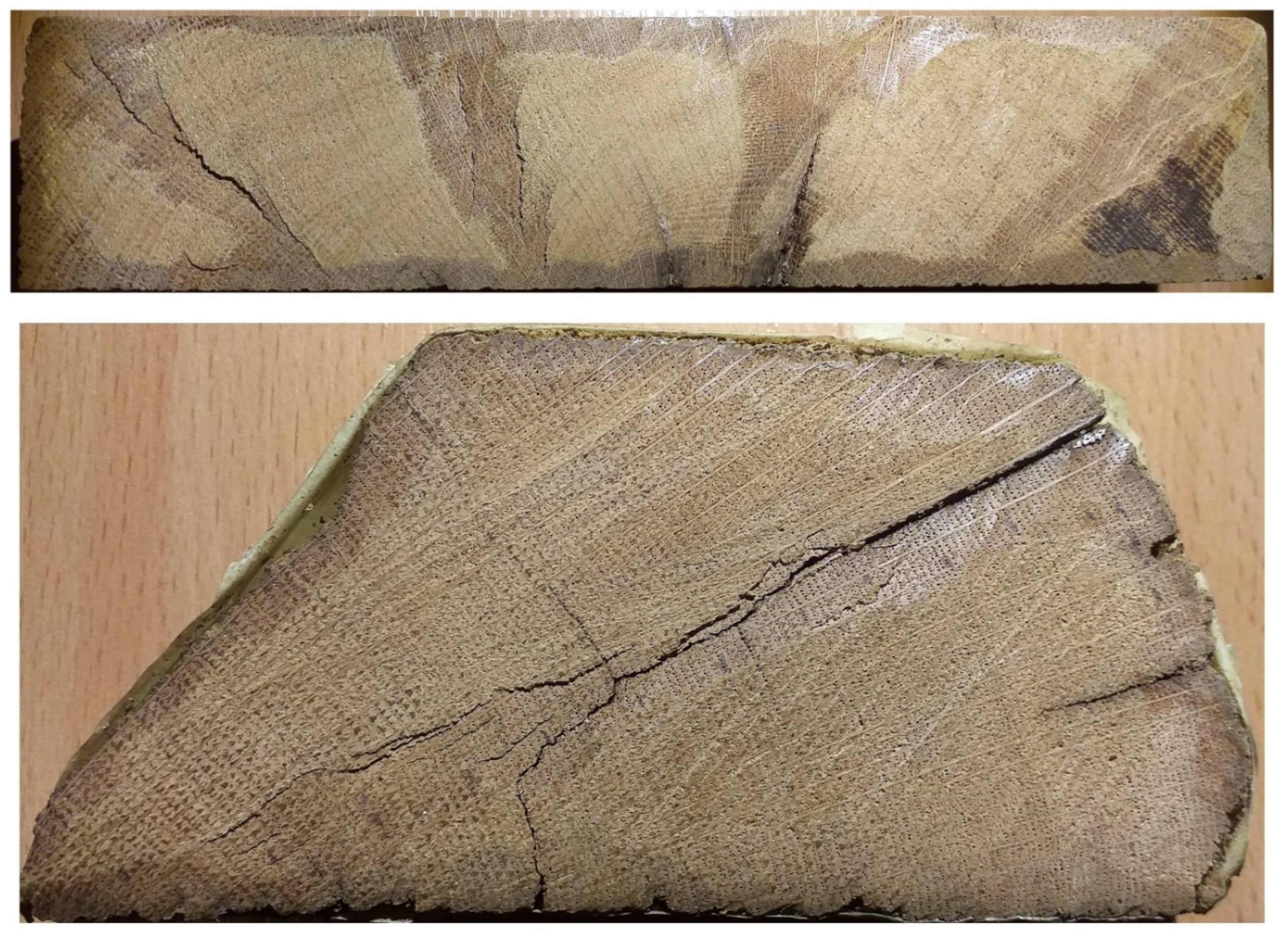 Forests 11 01266 g007