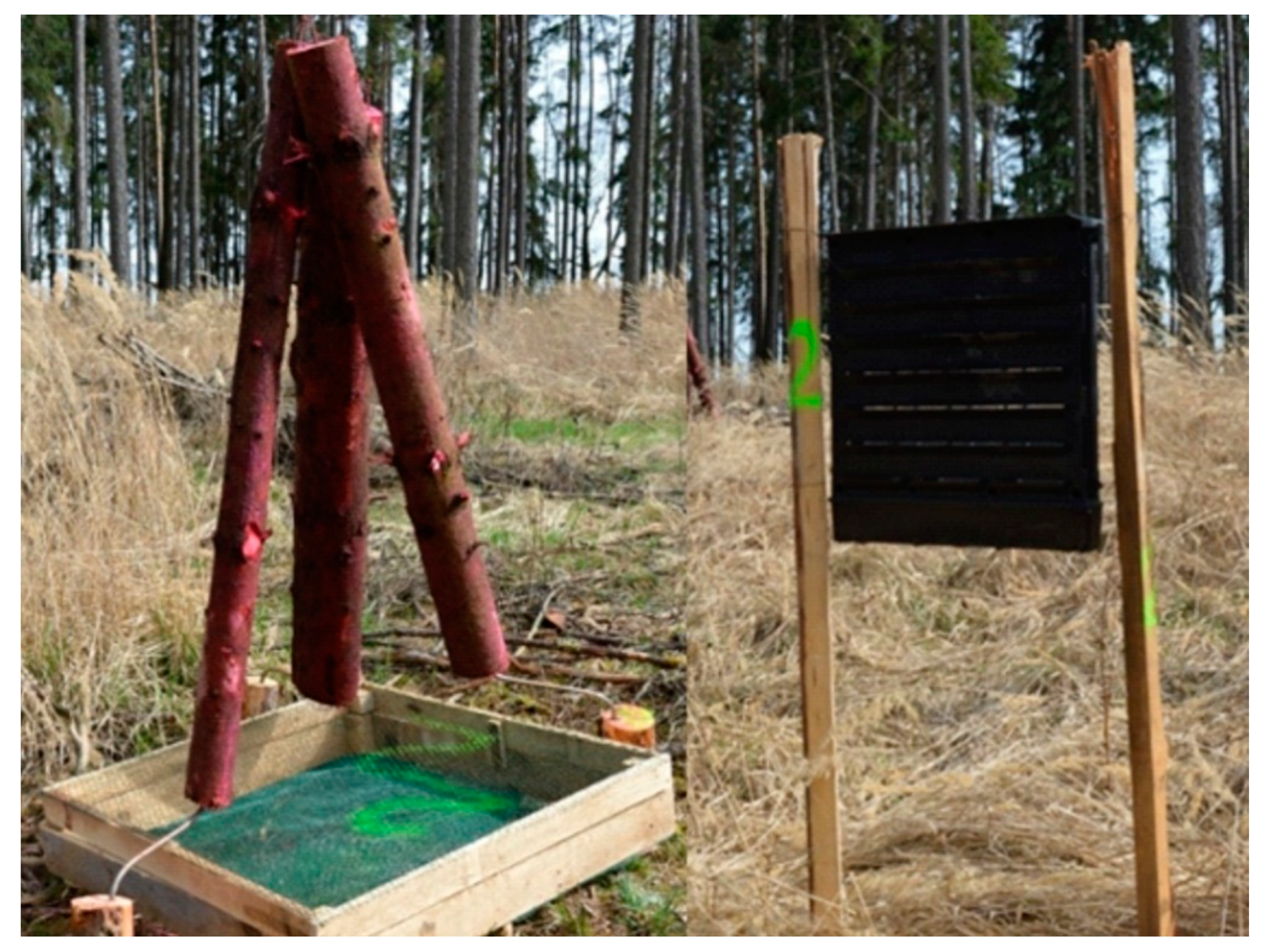 Forests 11 01275 g004