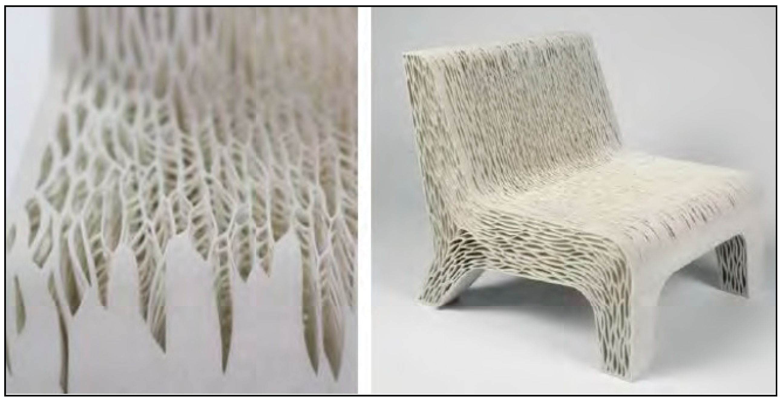 Forests 11 01277 g003