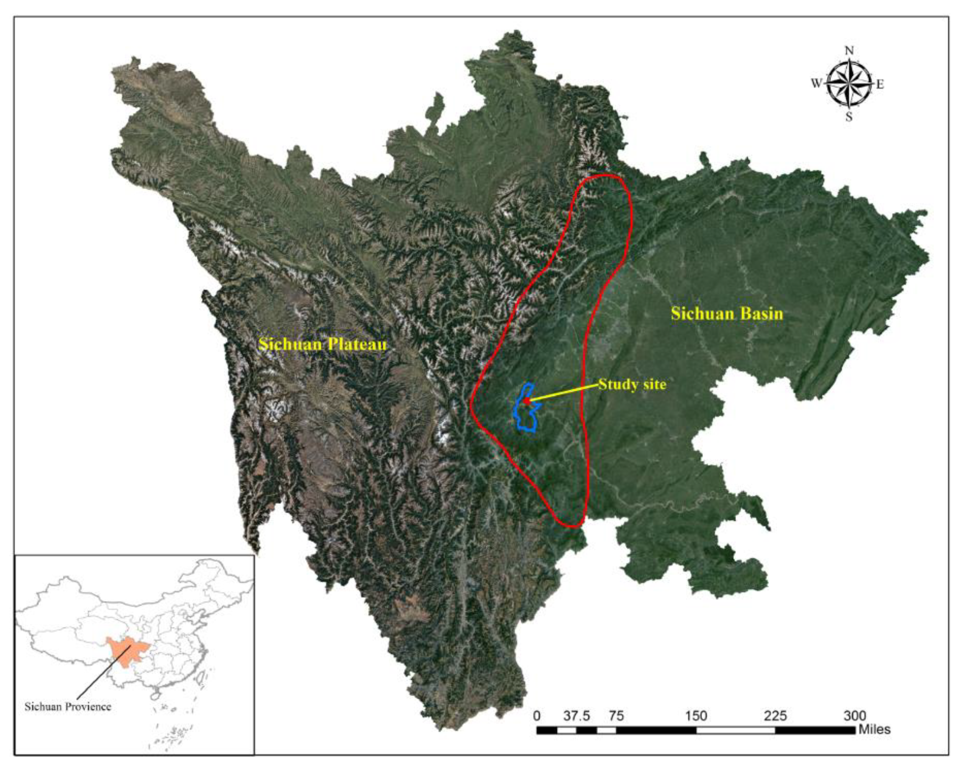 Forests 11 01280 g001 Forests 11 01280 g001