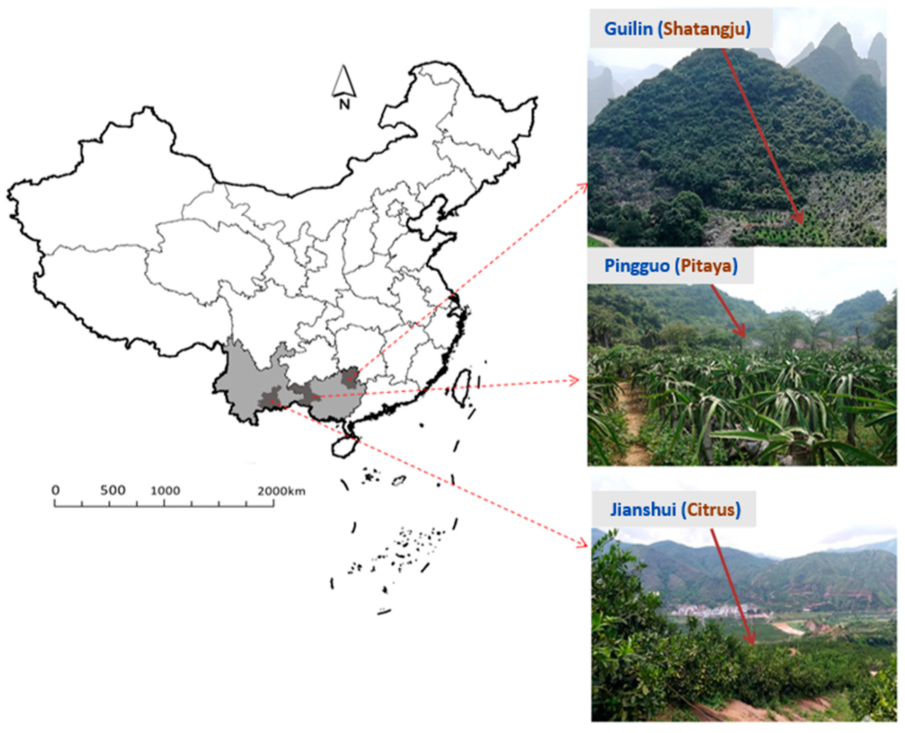 Forests 11 01282 g001