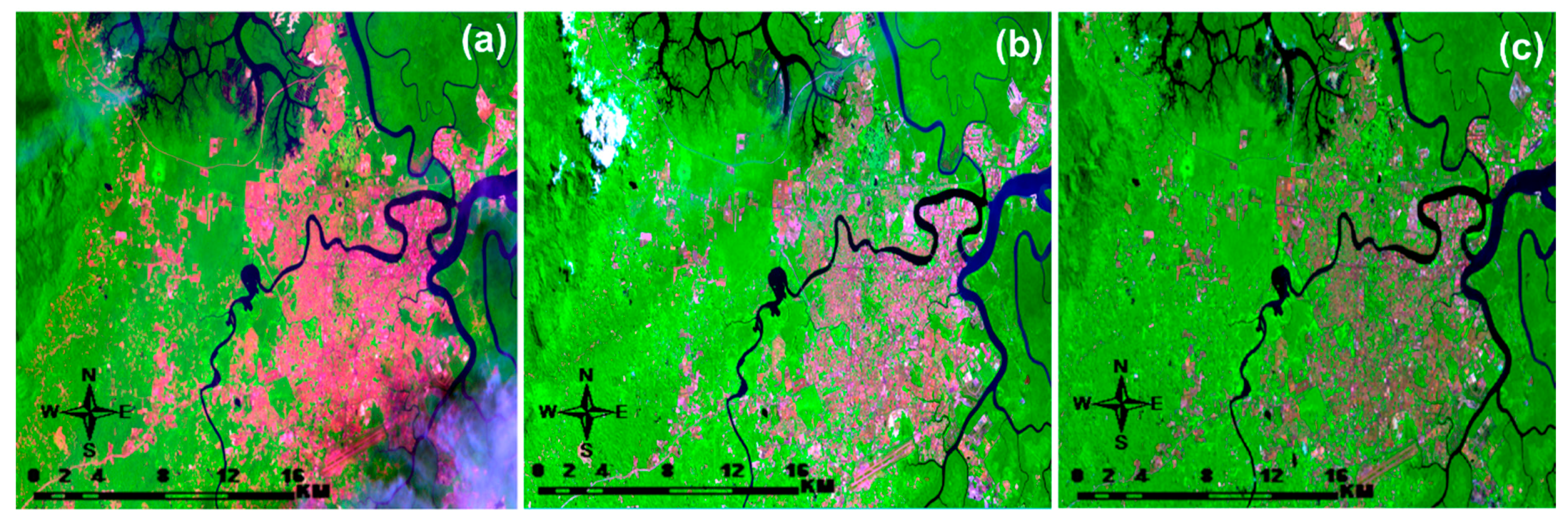 Forests 11 01285 g003