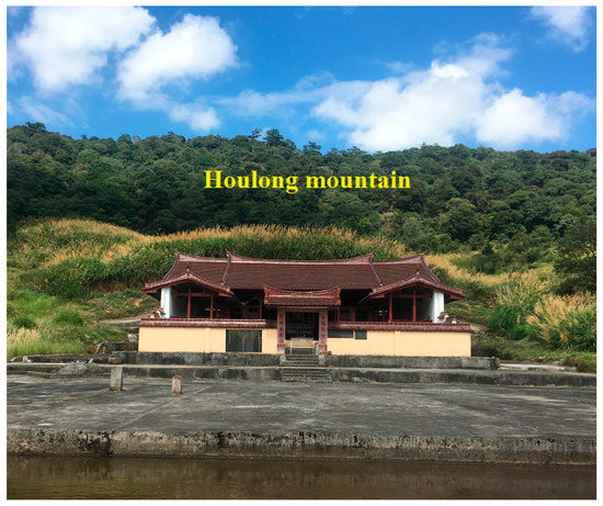 Forests 11 01286 g0a2