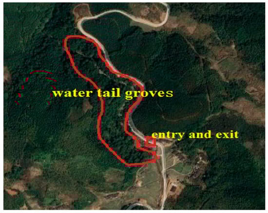 Forests 11 01286 g0a4