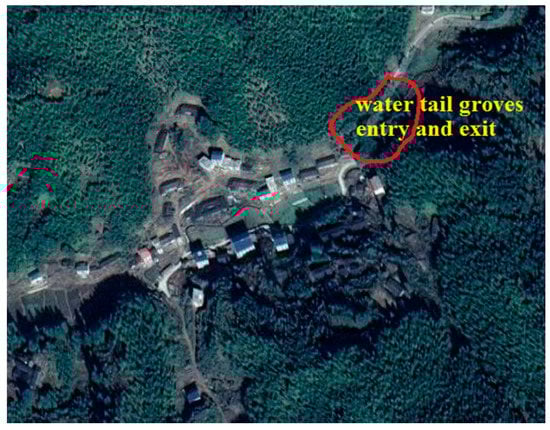 Forests 11 01286 g0a5