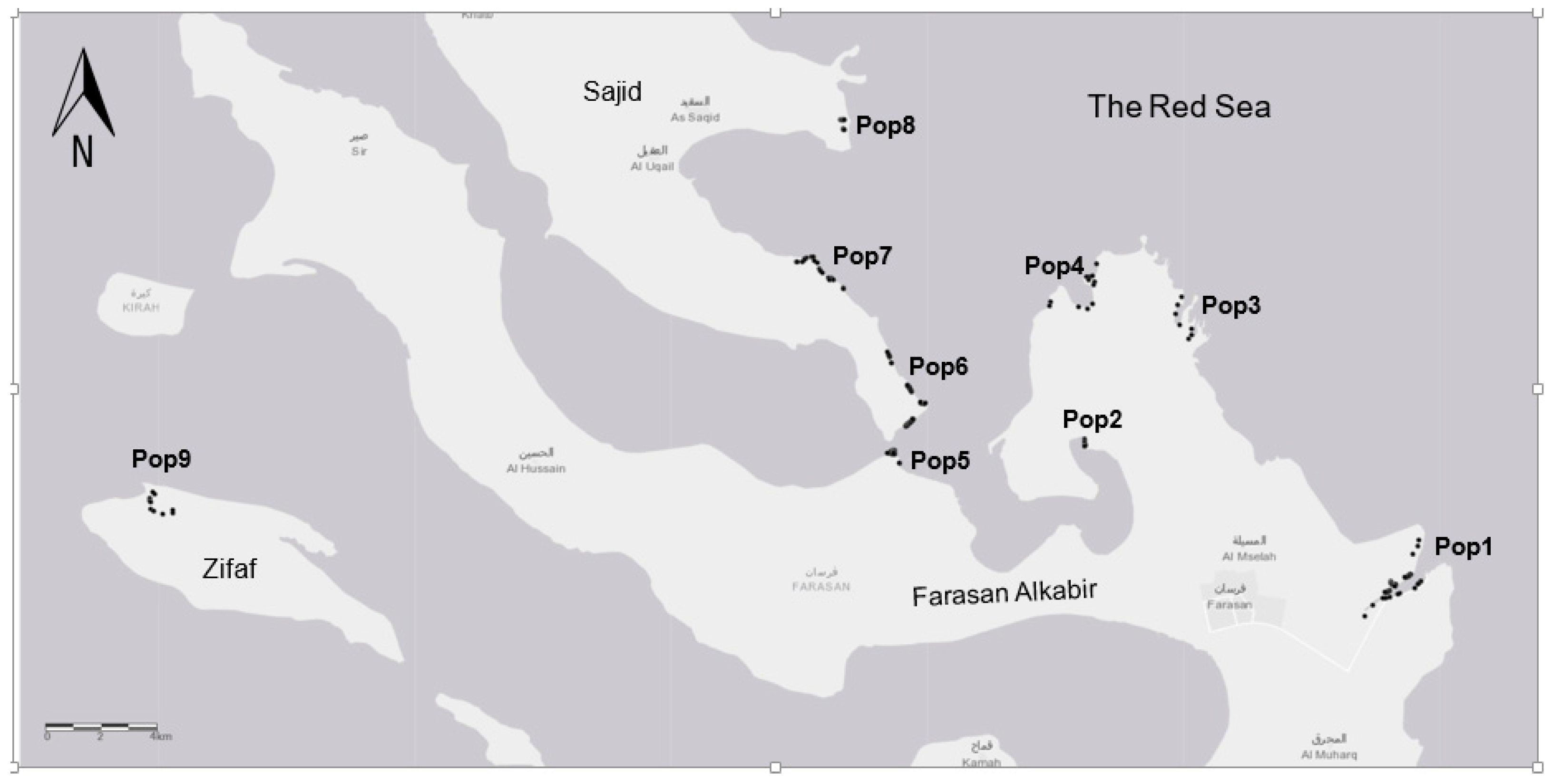 Forests 11 01287 g001 Forests 11 01287 g001