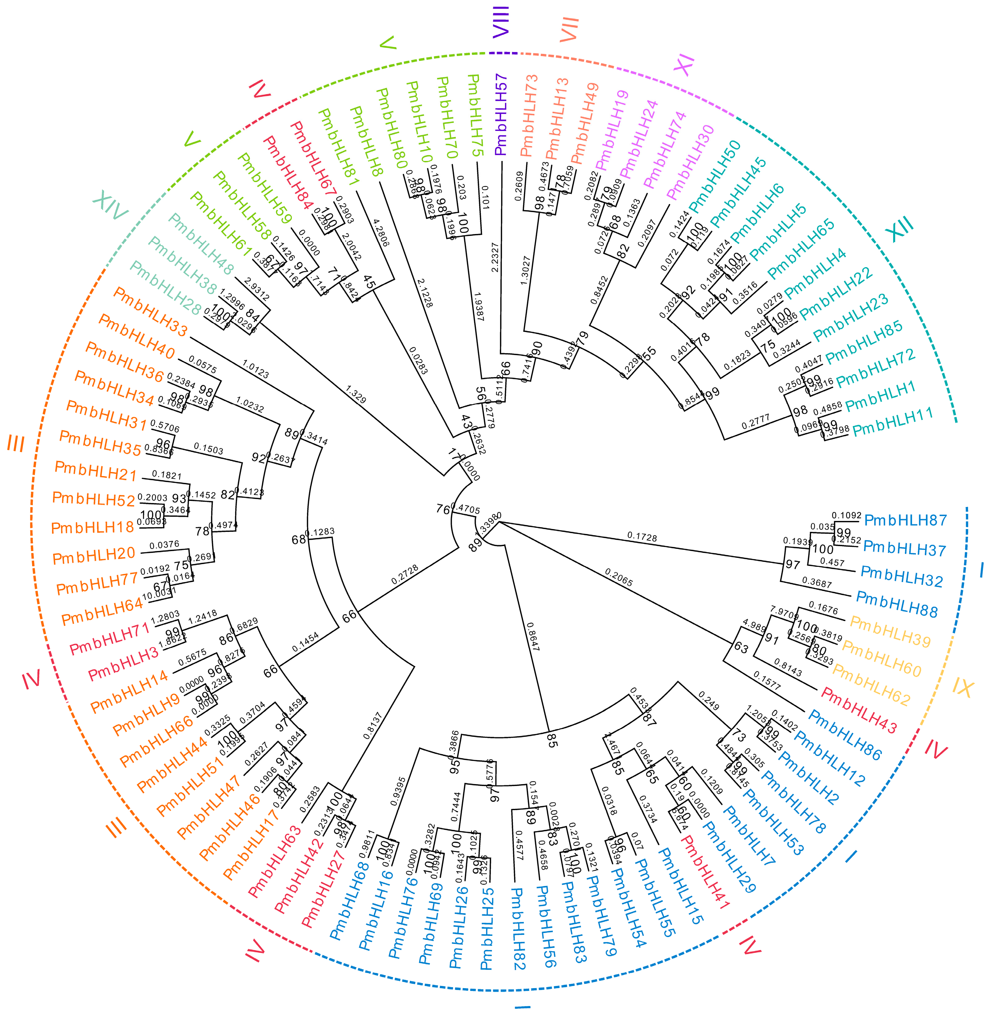 Forests 11 01292 g001