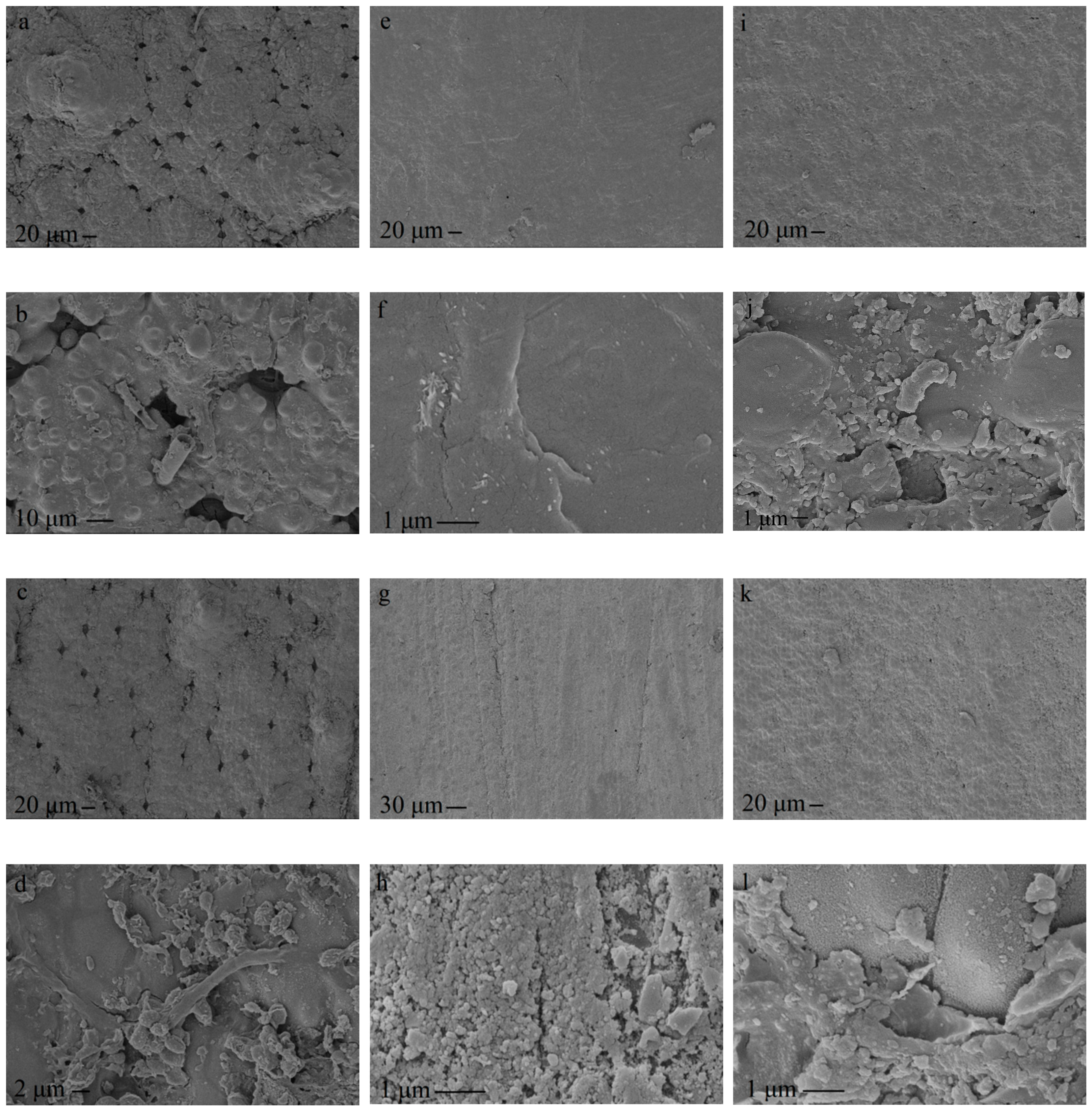 Forests 11 01293 g004