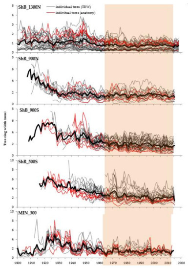 Forests 11 01294 g0a1