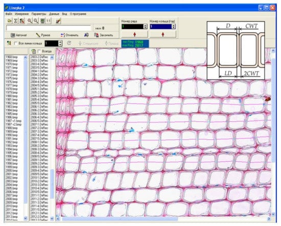 Forests 11 01294 g0a2