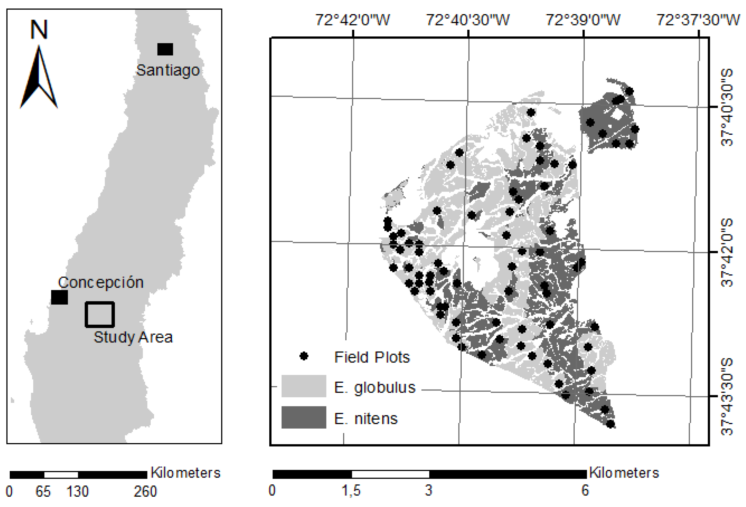 Forests 11 01305 g001