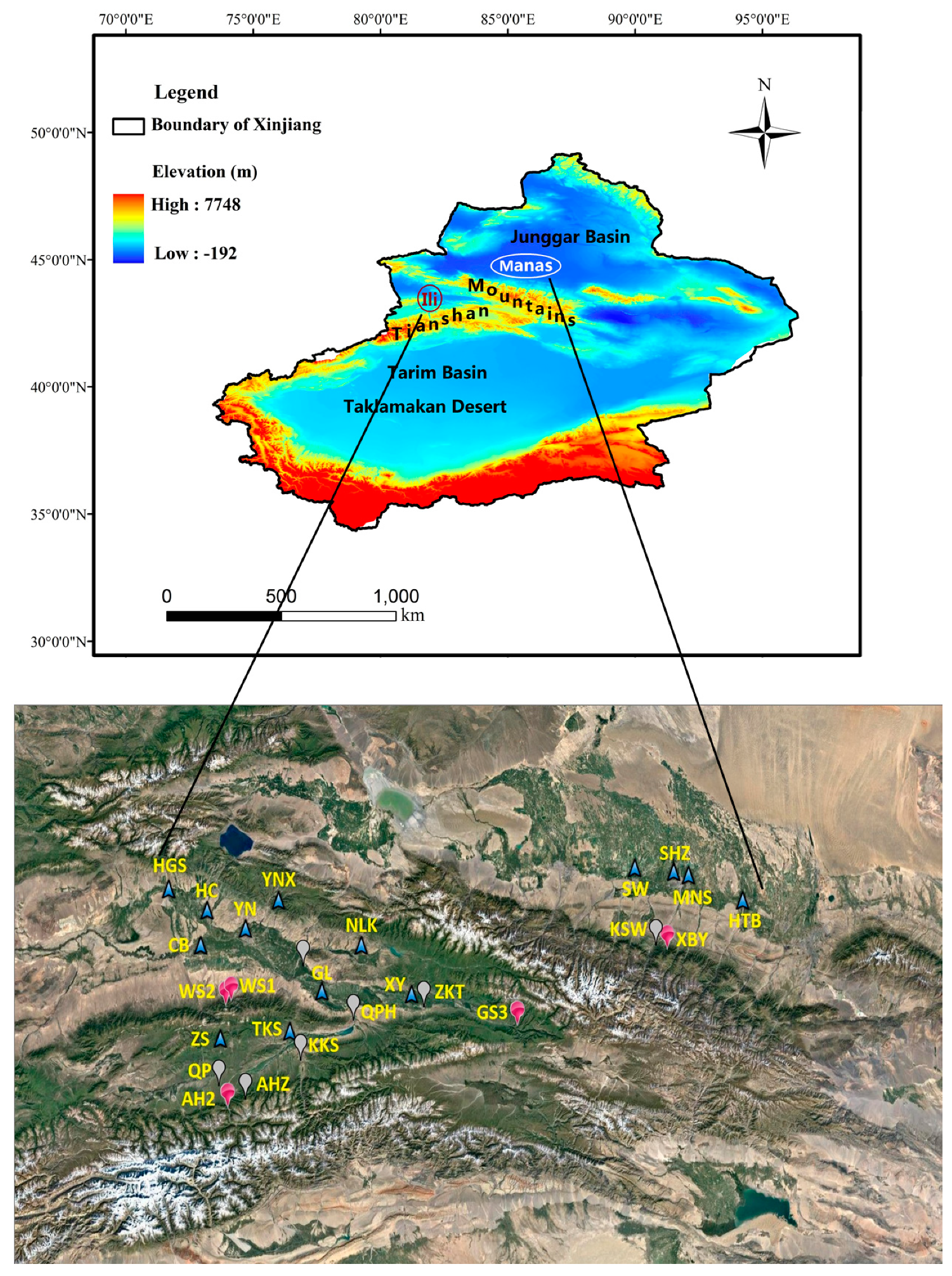 Forests 11 01308 g001
