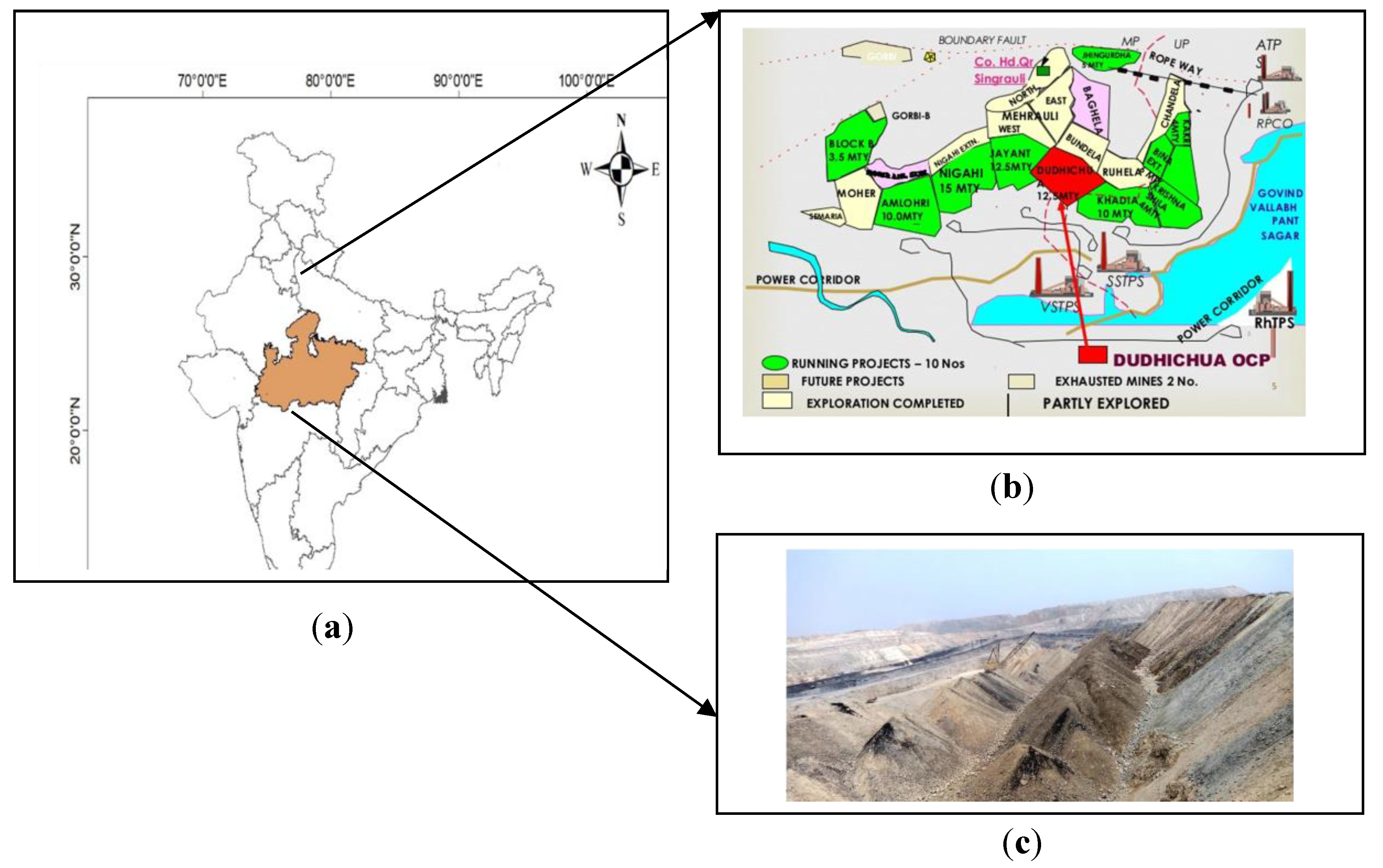 Forests 11 01310 g001