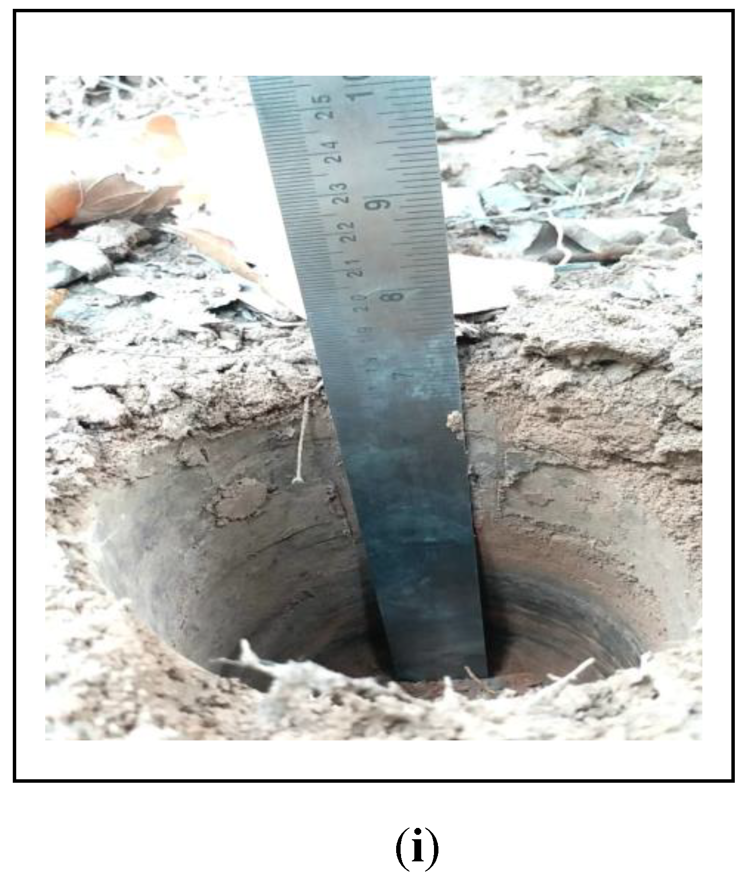 Forests 11 01310 g002b