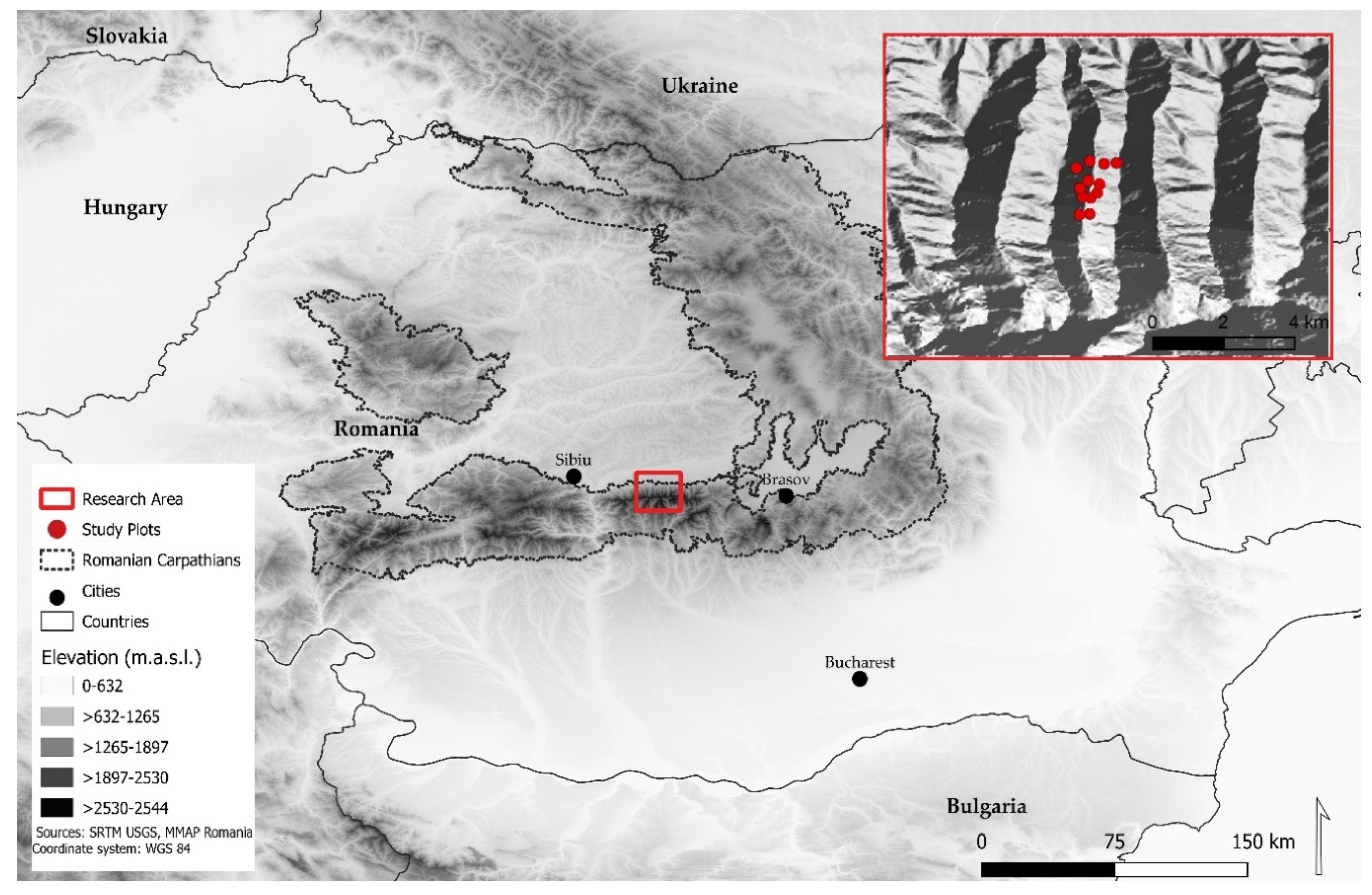 Forests 11 01315 g001