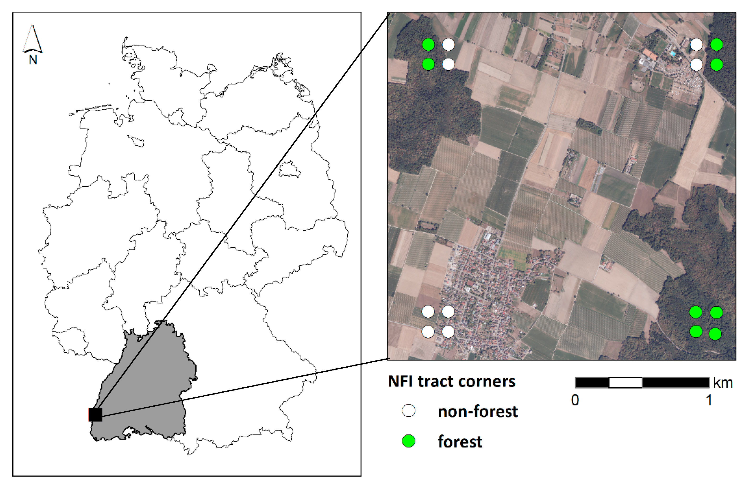 Forests 11 01322 g003