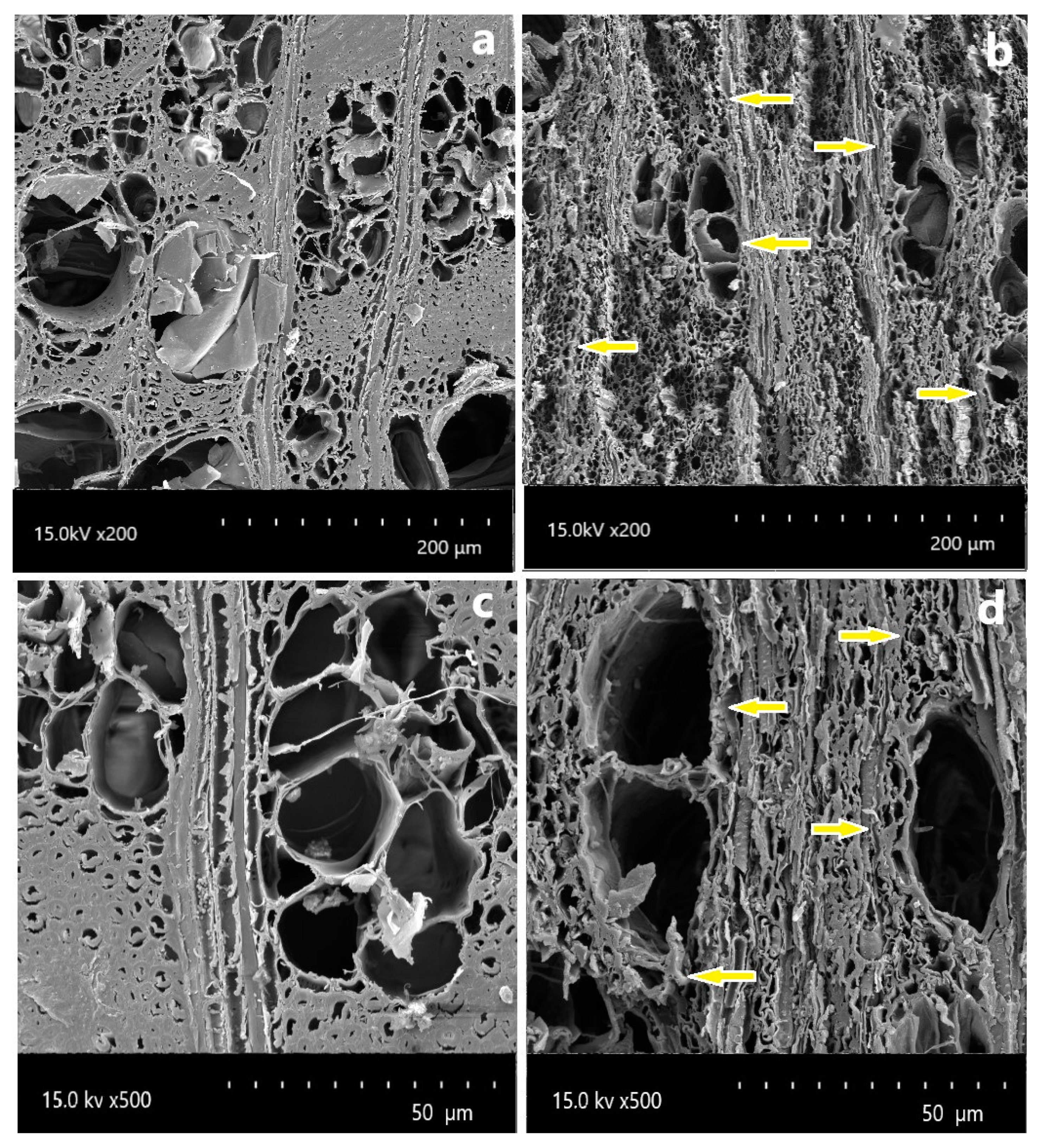Forests 11 01329 g006