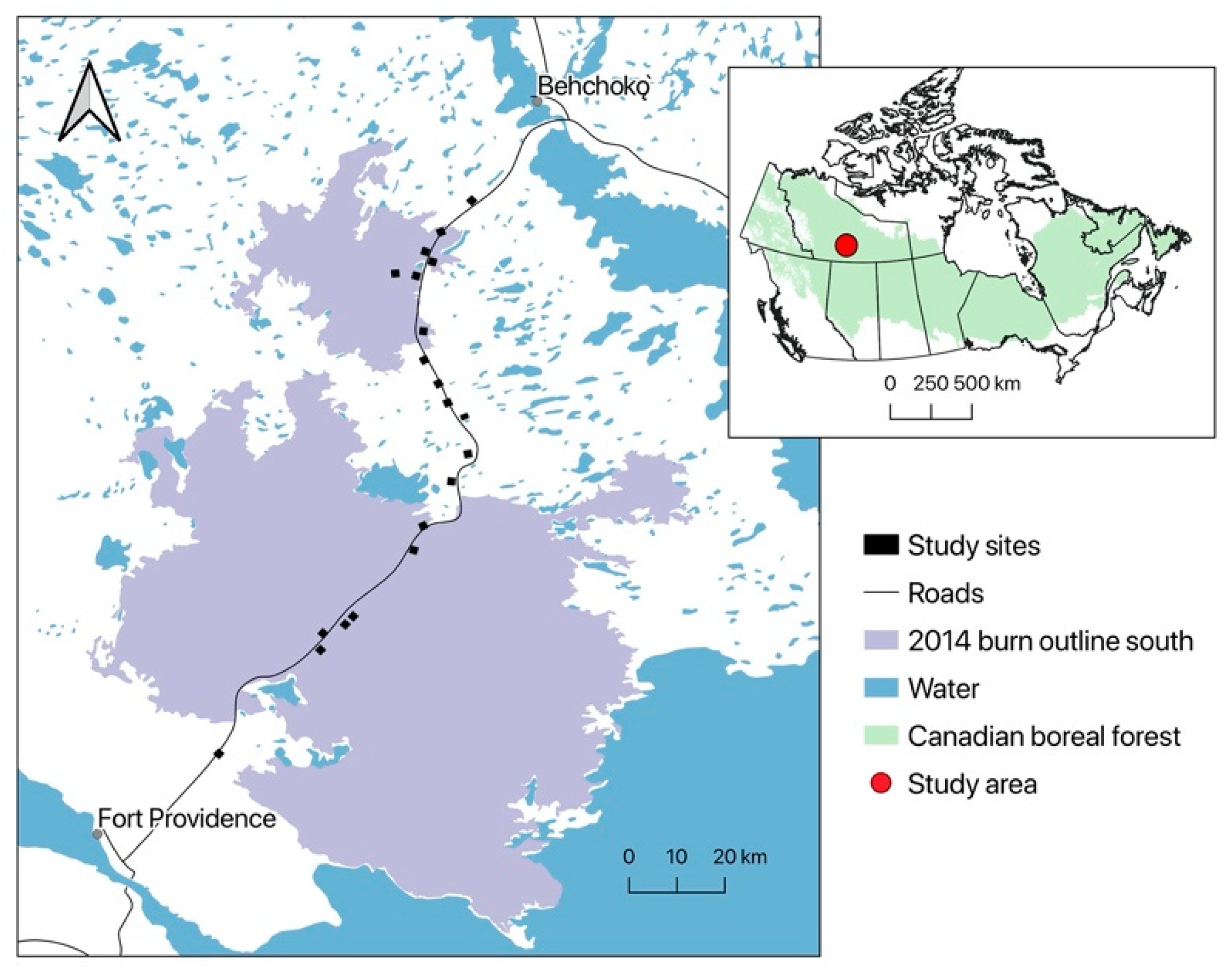 Forests 11 01330 g001