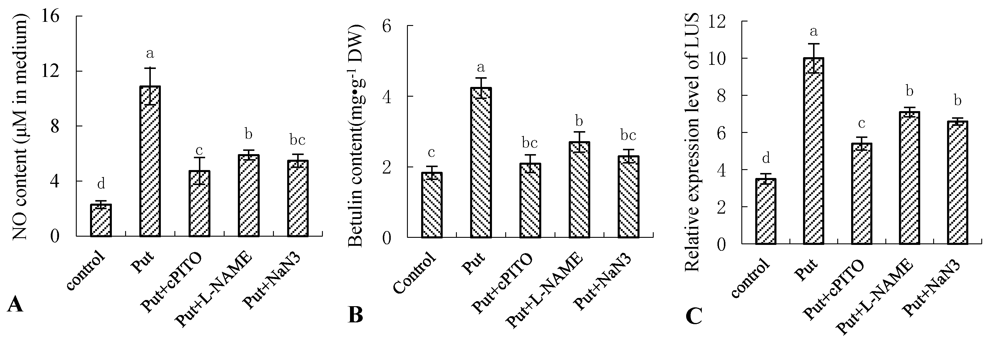Forests 11 01336 g004