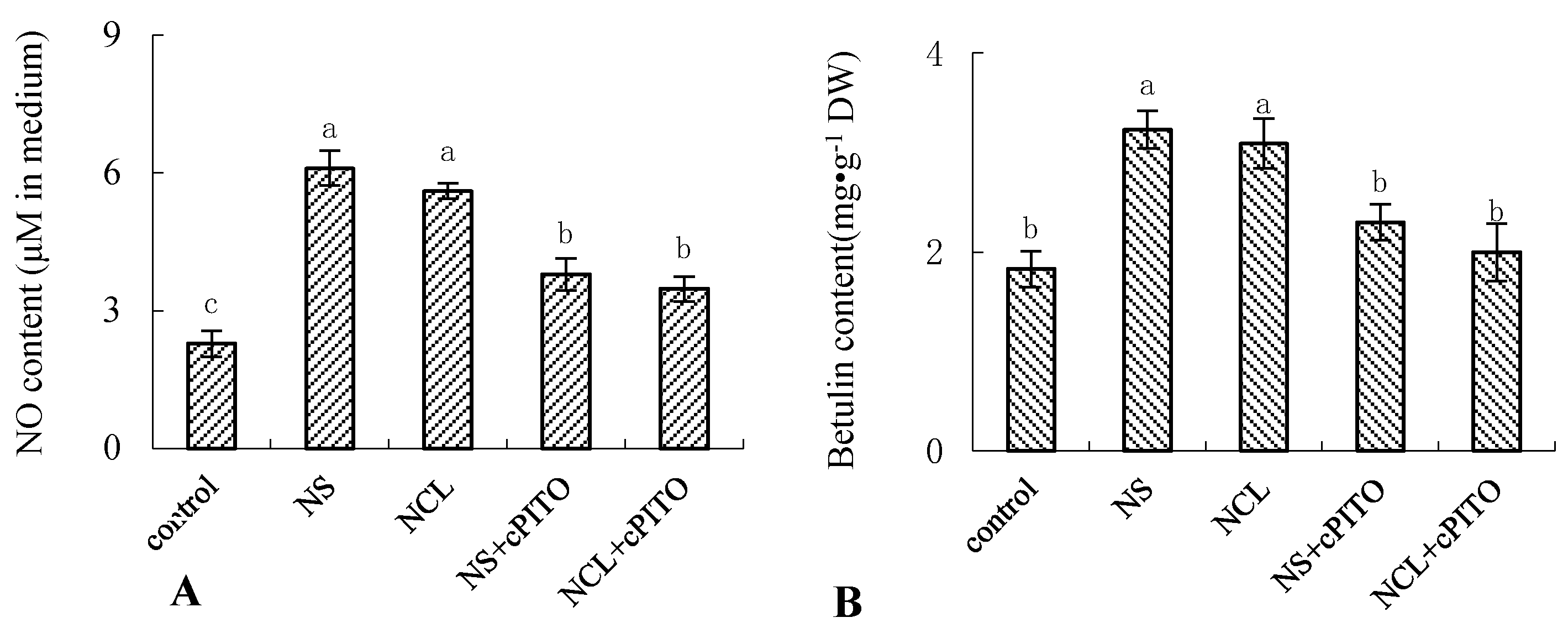 Forests 11 01336 g006