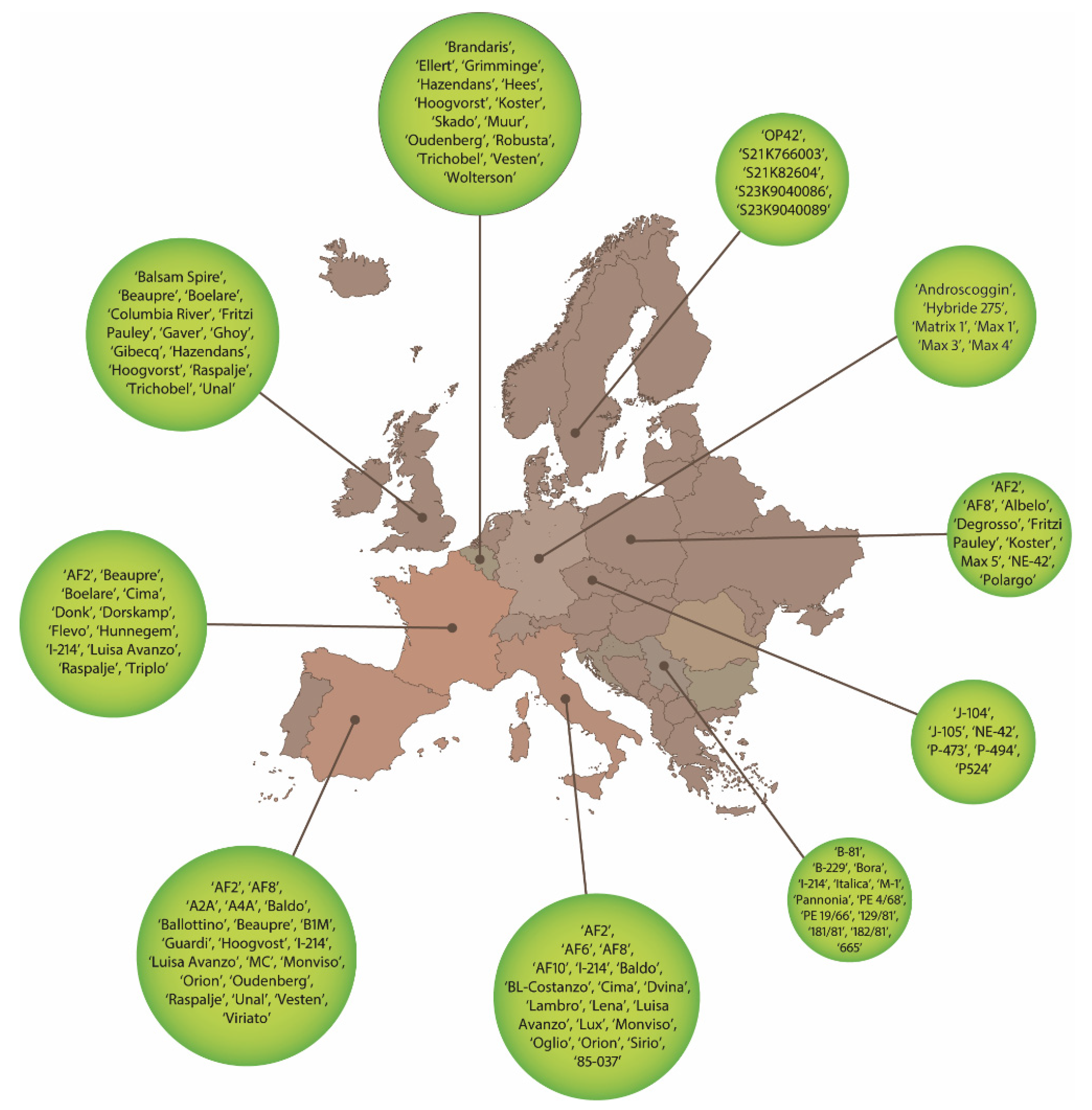 Forests 11 01352 g001 Forests 11 01352 g001