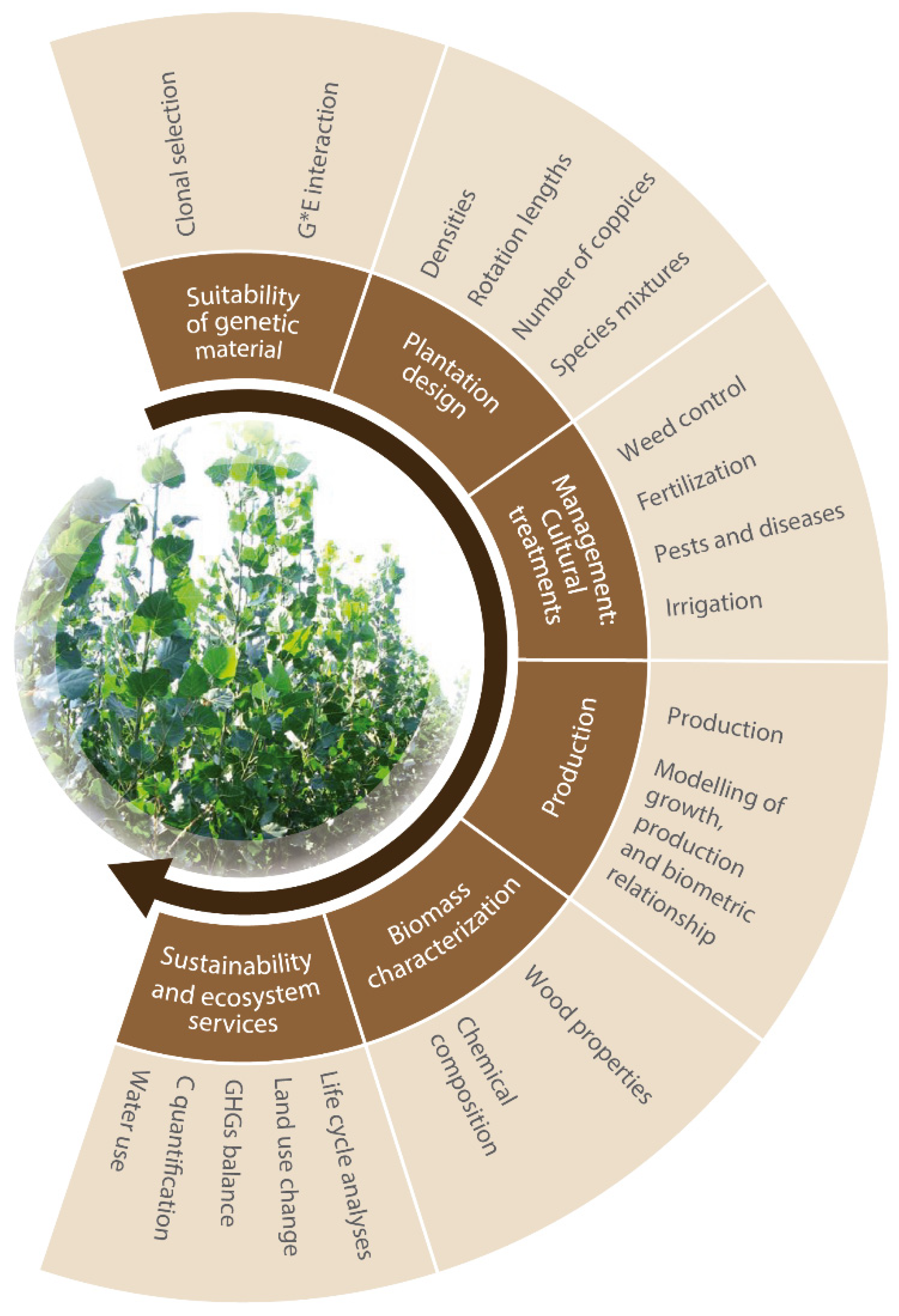 Forests 11 01352 g002 Forests 11 01352 g002